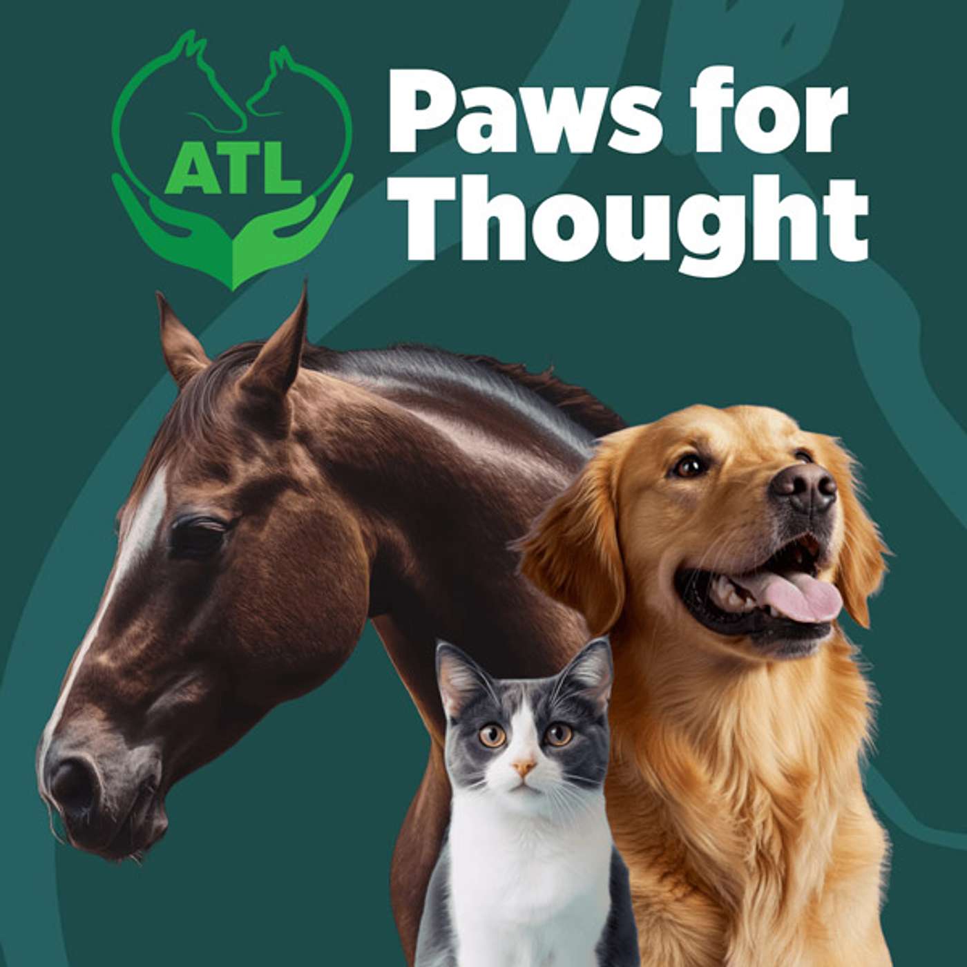 Animal Therapies Ltd Podcast