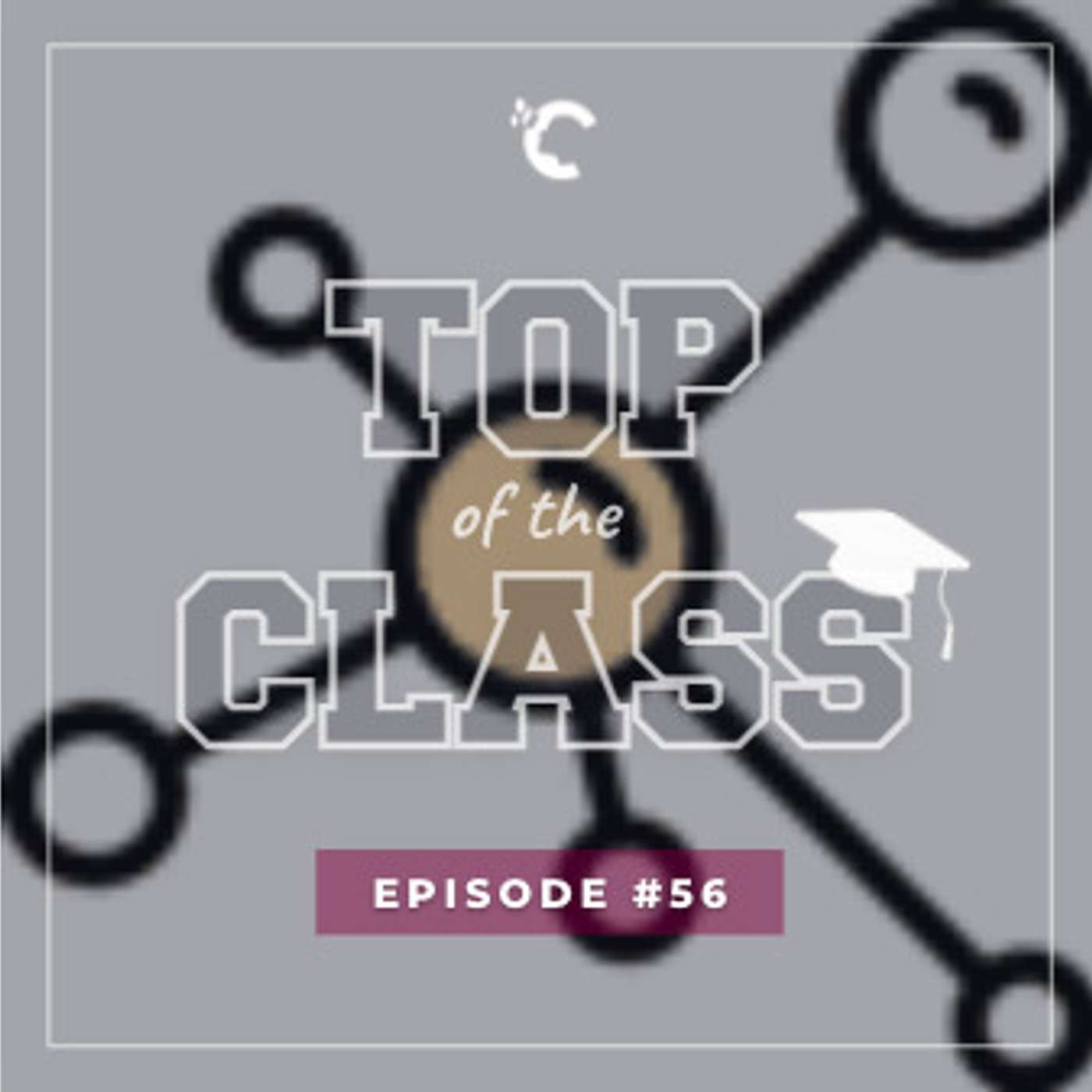 #56 How Non-Profit Status Helped Sciencious Reach Thousands!