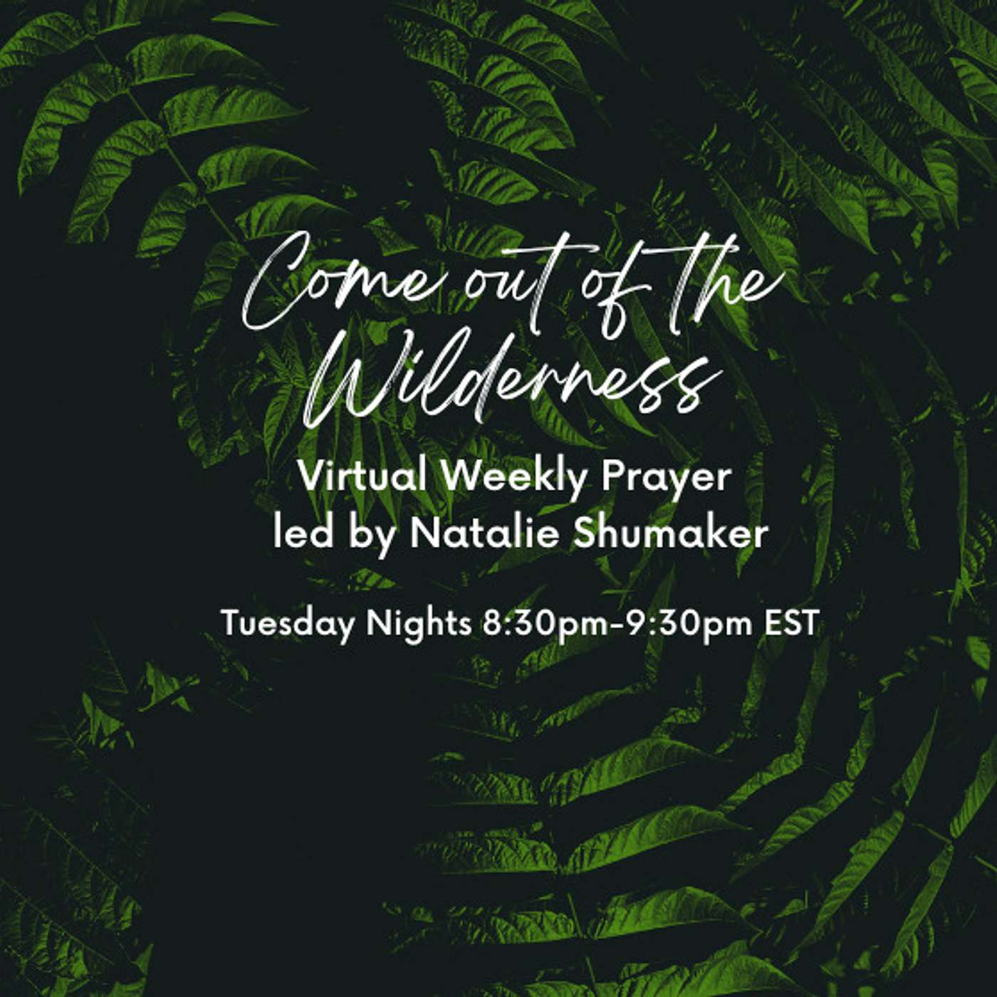 From Mustard Seed to Mighty Tree: Navigating Life's Challenges with Faith and God's Guidance episode artwork
