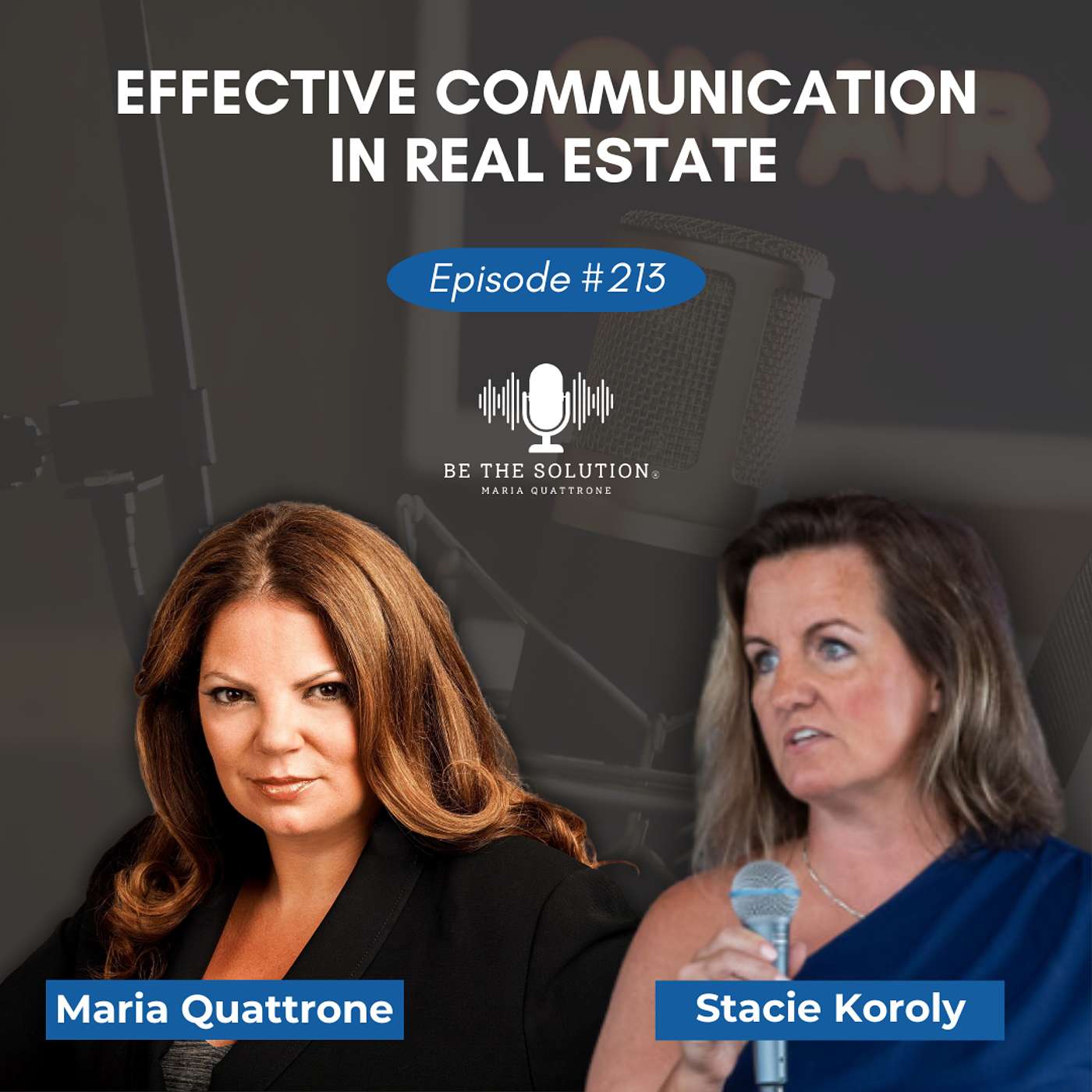 213. Effective Communication in Real Estate