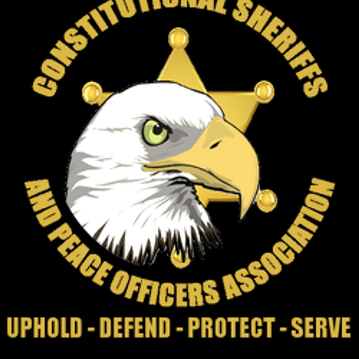 Sheriffs are the last Constitutional defense