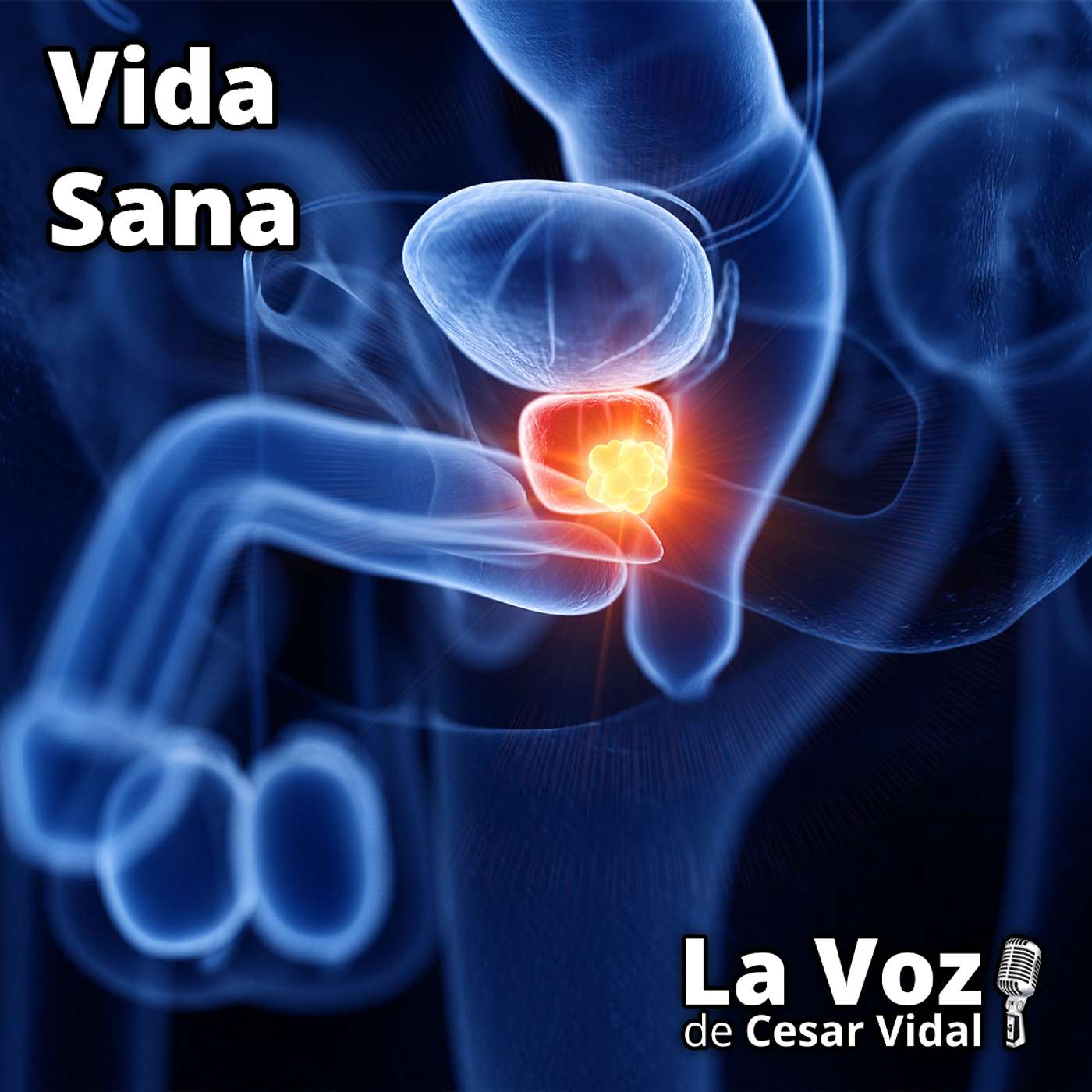 Vida Sana: La salud de su próstata (1) - 24/09/25