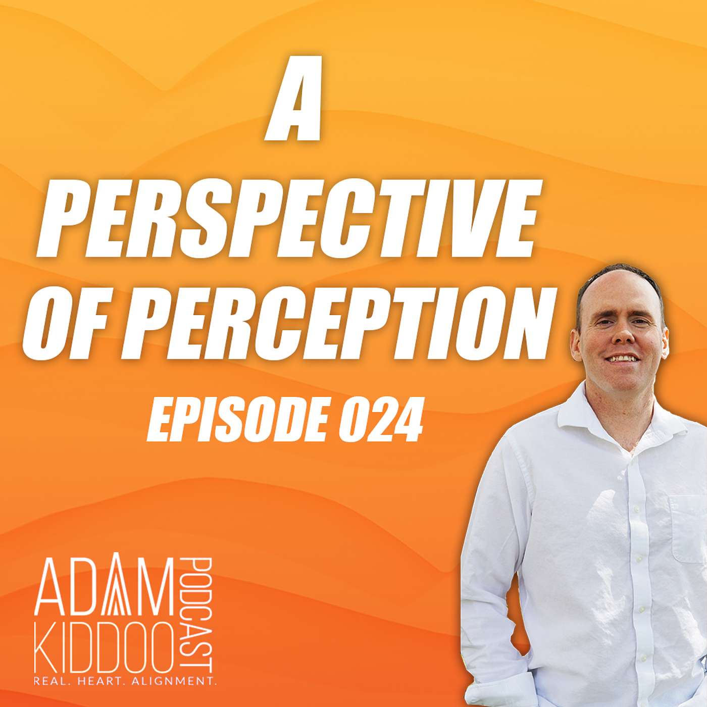 A Perspective of Perception
