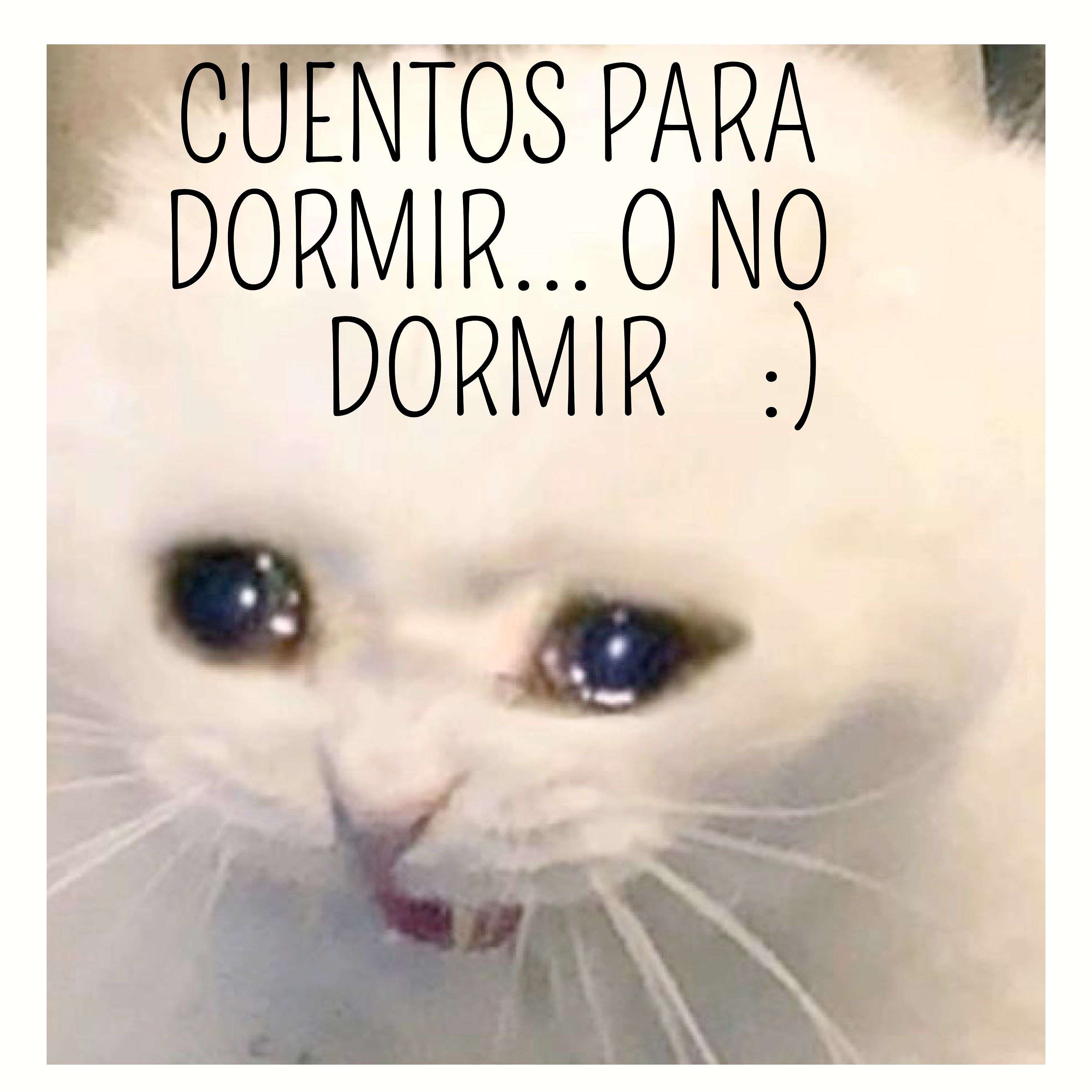 Cuentos para dormir...o no dormir. cover art