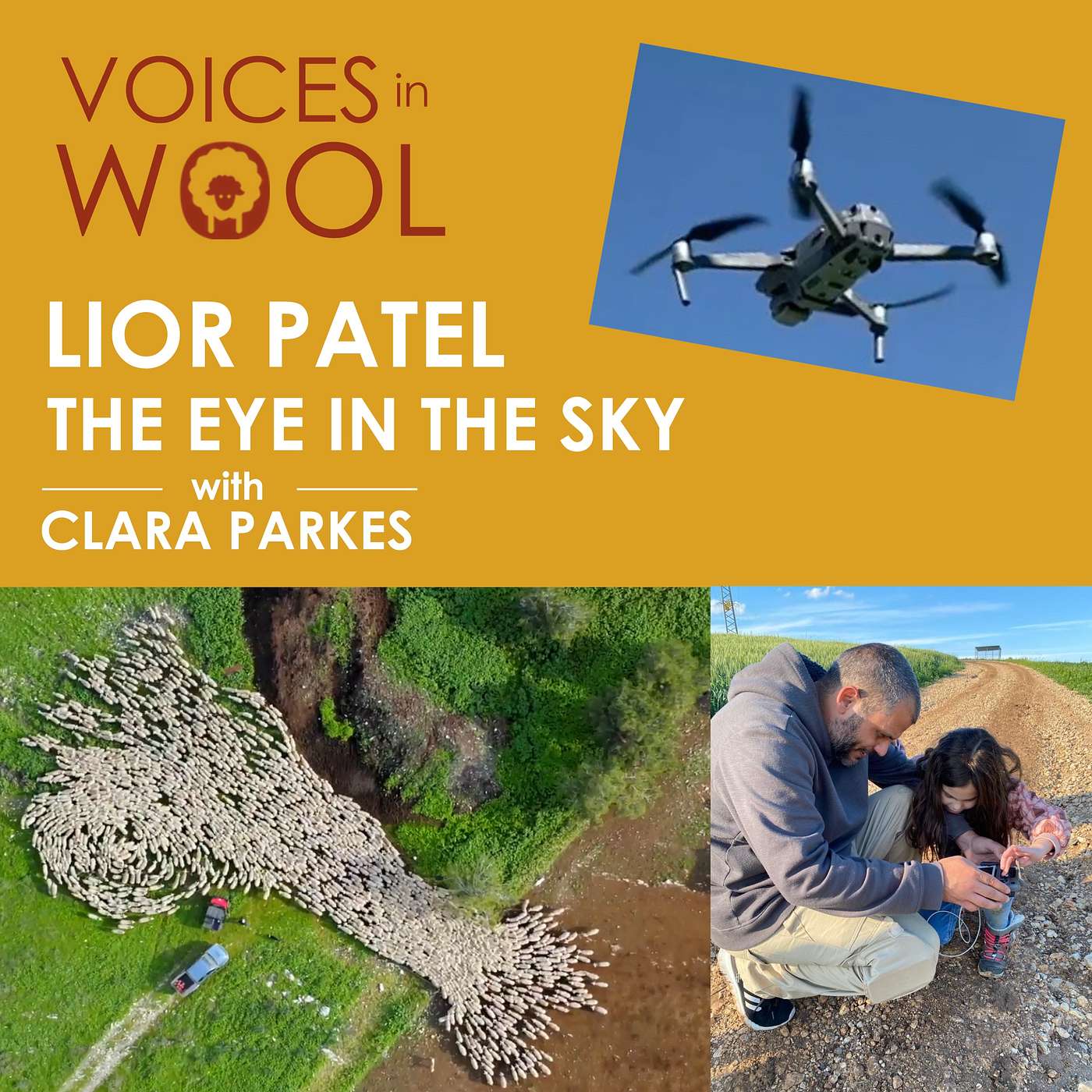 Lior Patel: The Drone Photographer who Spied on Sheep from Above Lior Patel: The Drone Photographer who Spied on Sheep from Above