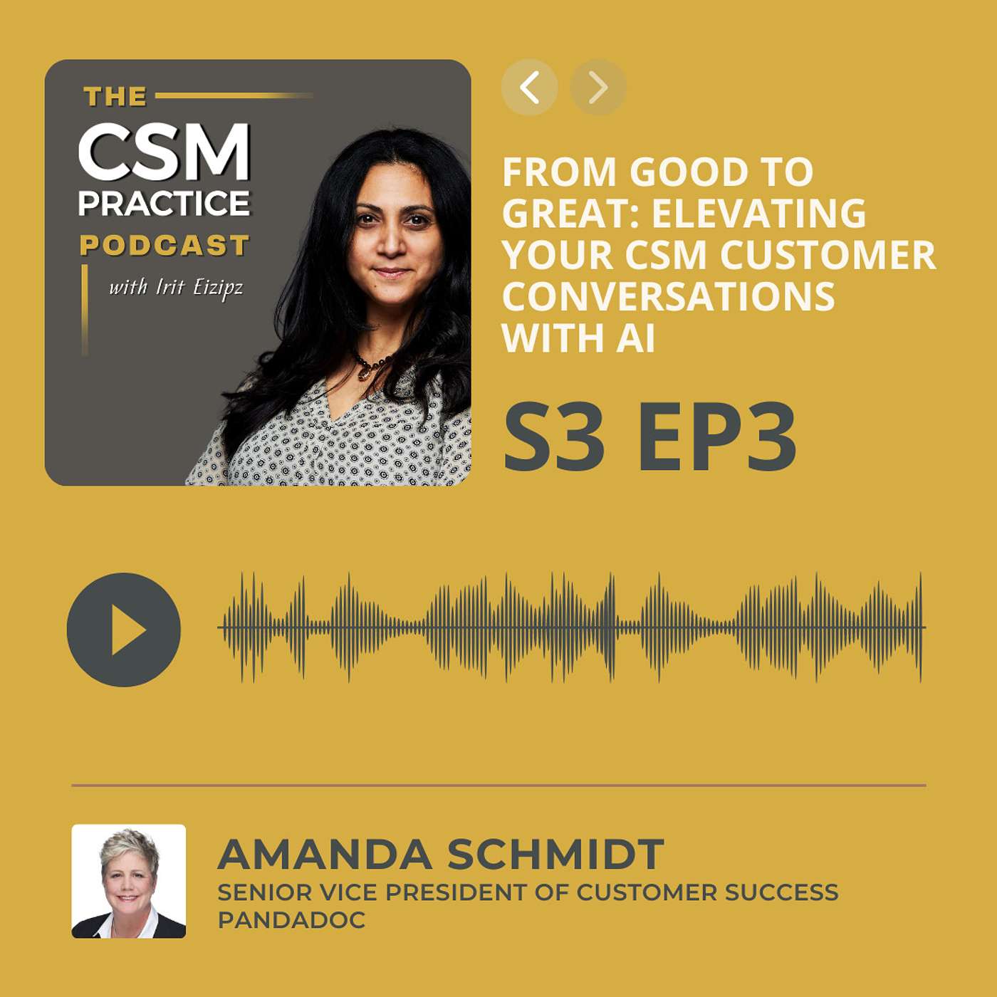 CSM Practice - The Customer Success Podcast