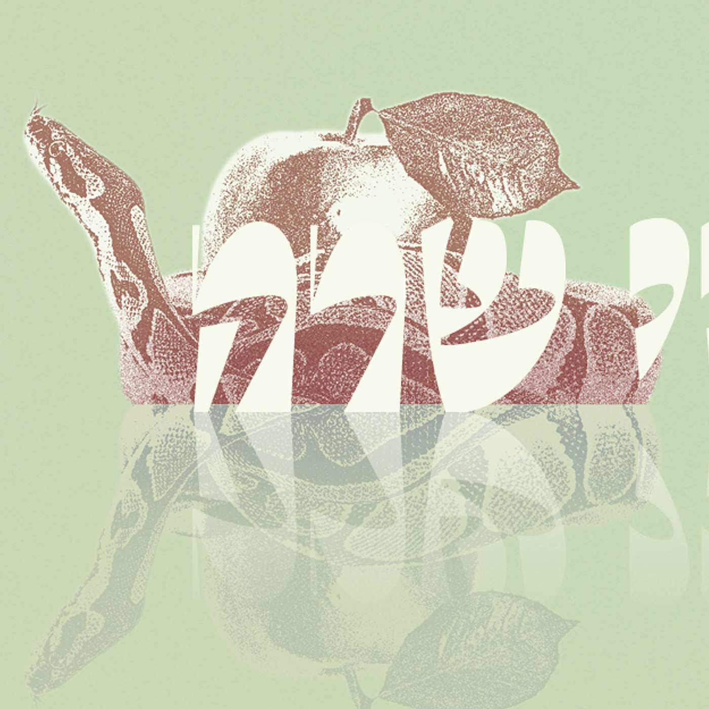 Parashat Chayei Sarah - Loss, Death and Renewal | Rabbi Shai Finkelstein episode artwork