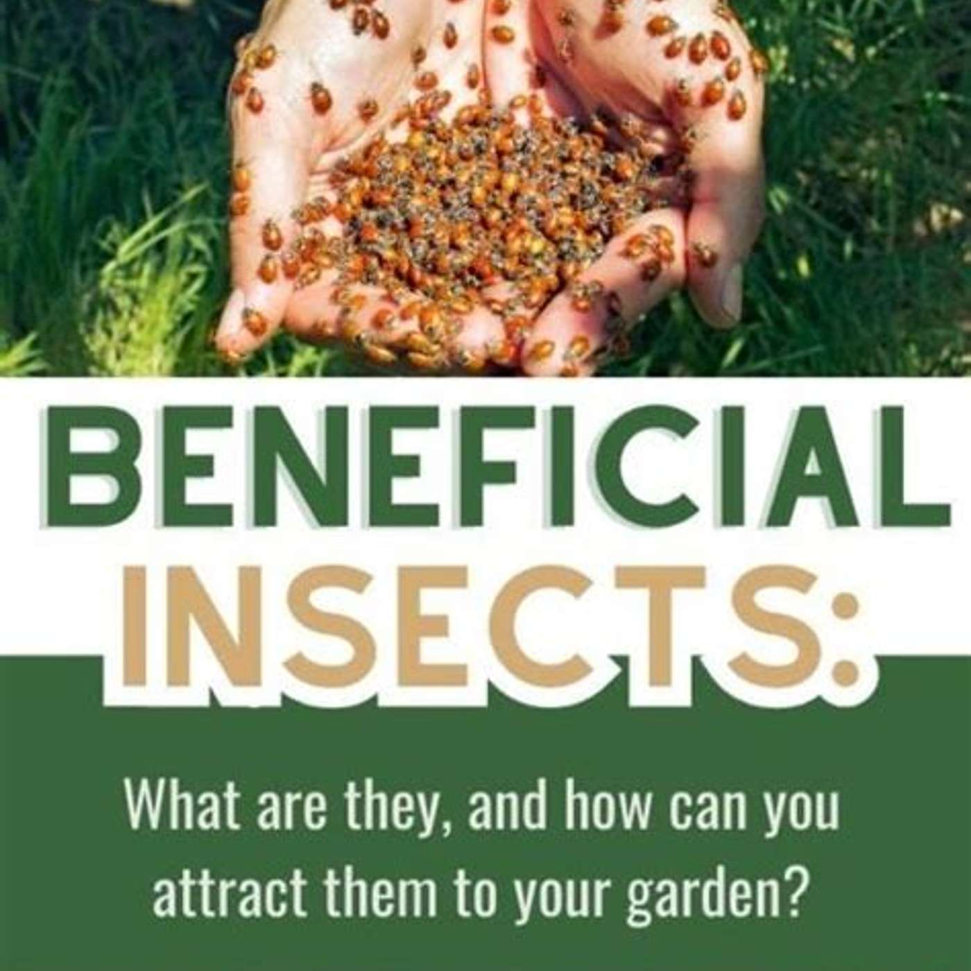 Beneficials.......