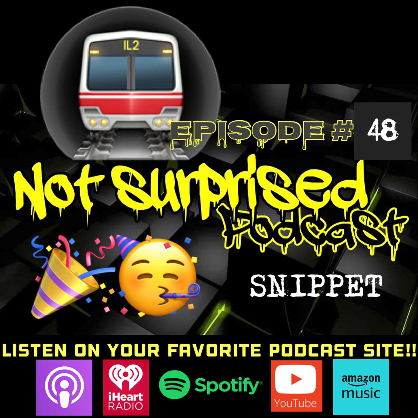 Not Surprised Podcast - NEW YEARS HANGOVER ON SUBWAYS #48 (SNIPPET)