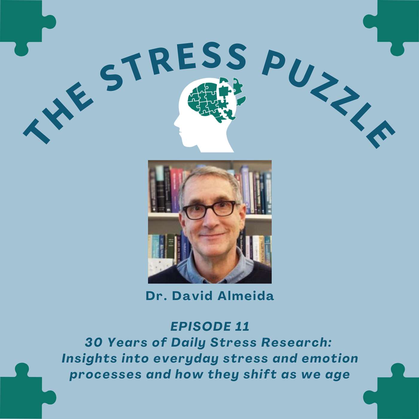 The Stress Puzzle