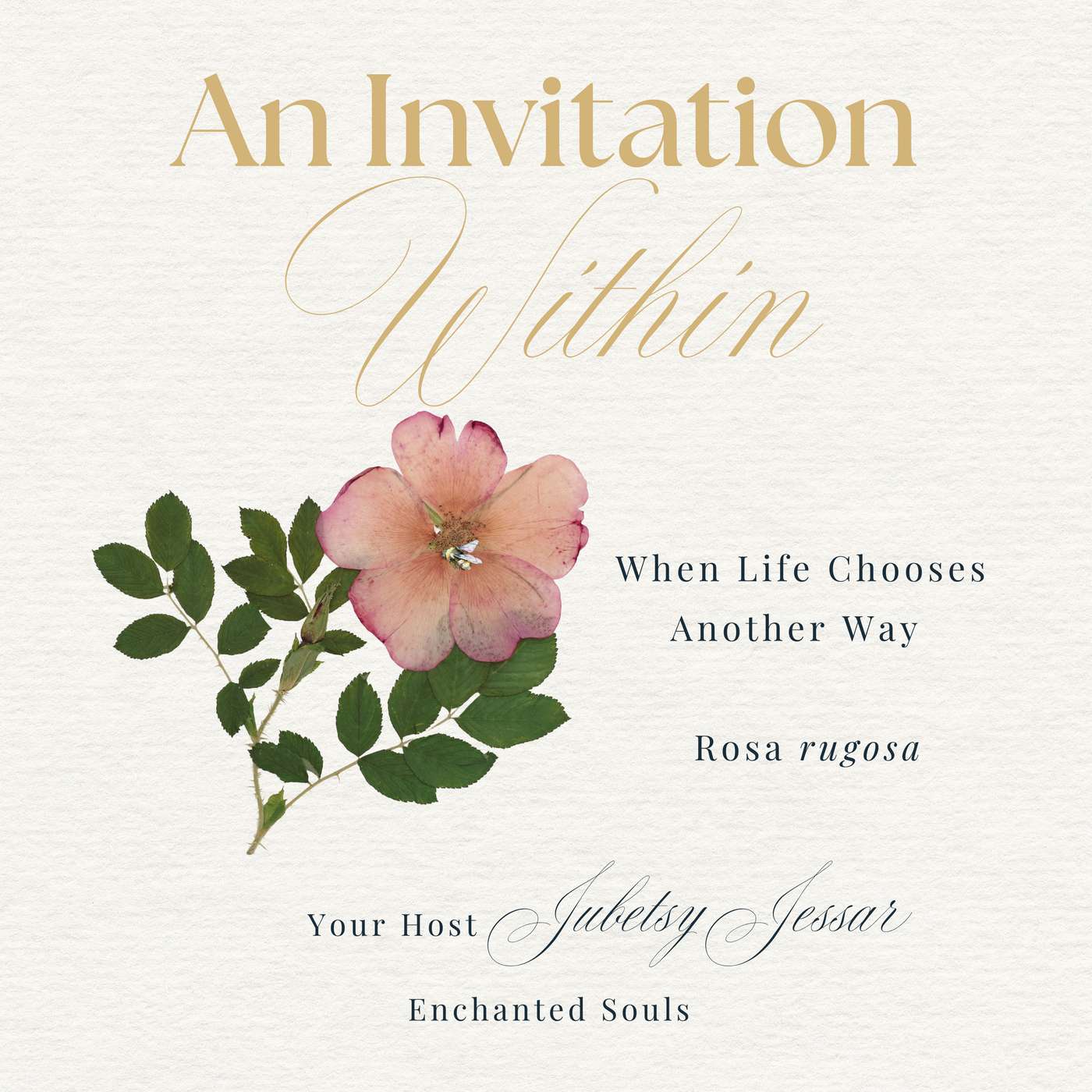When Life Chooses Another Way | Rosa rugosa