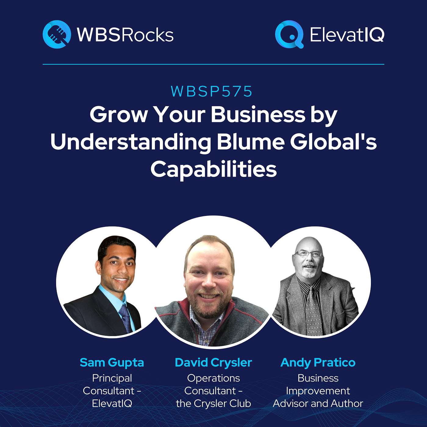 WBSP575: Grow Your Business by Understanding Blume Global's Capabilities, an Objective Panel Discussion