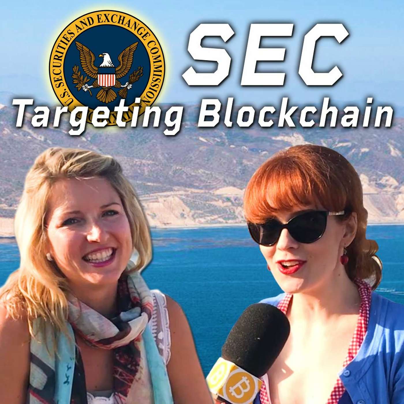 SEC Targeting Bitcoin: Crypto Lawyer Explains
