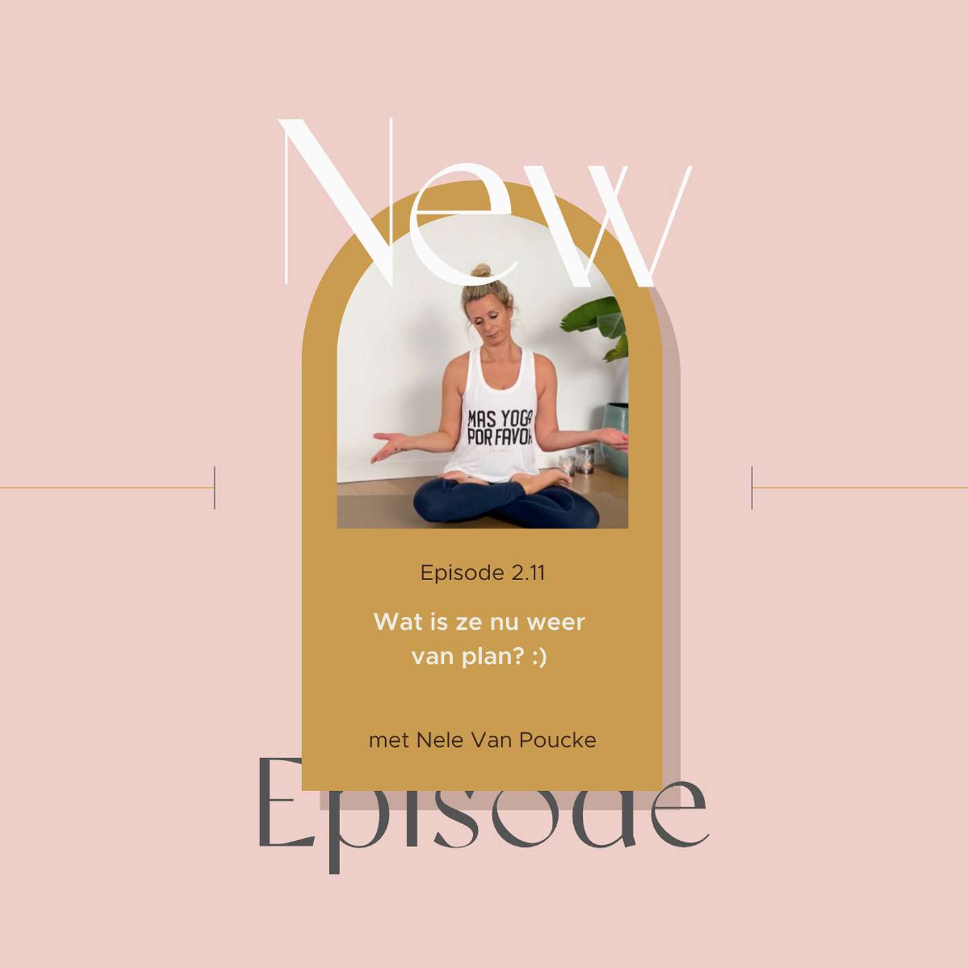 The Curious Yoga Teacher