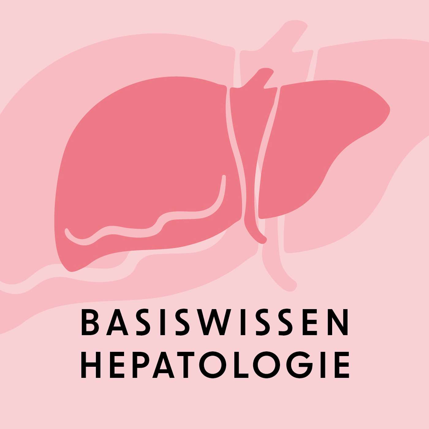 Abklärung erhöhte Leberwerte