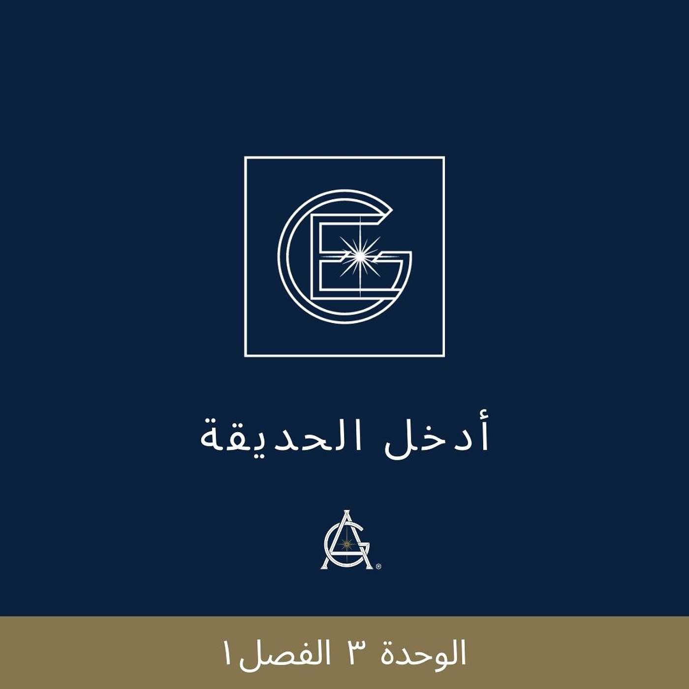 الوحدة  ٣  الفصل ١ :  مراقبة نمط أفكاري