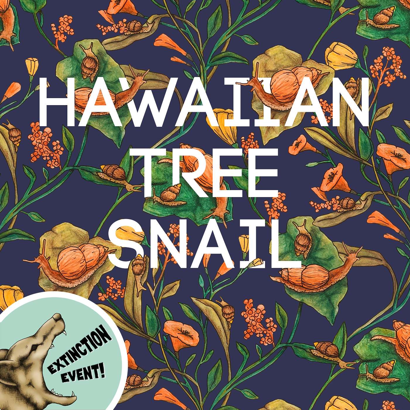 Hawaiian Tree Snail