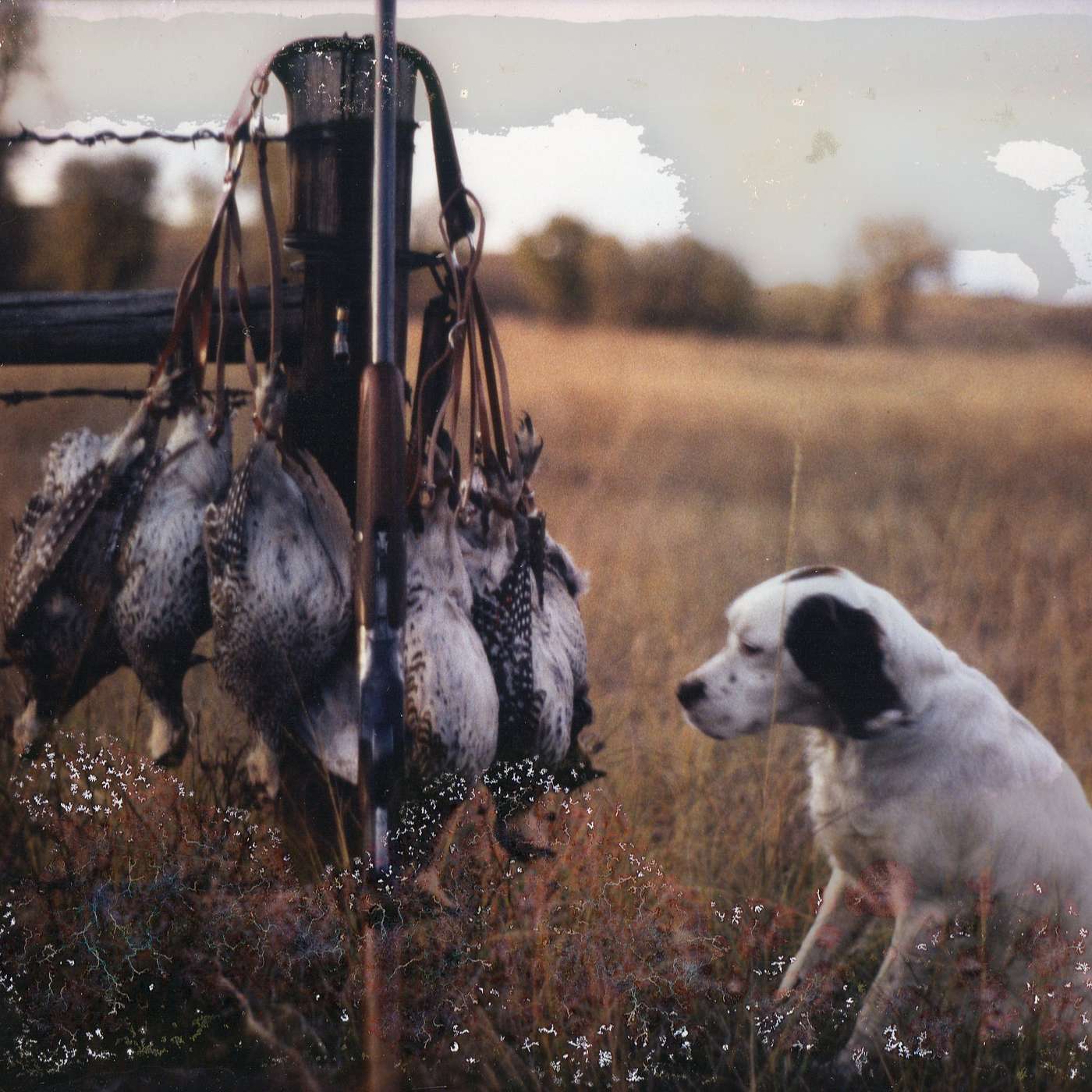 S1 E3 Double Limit Sharptail Grouse episode artwork