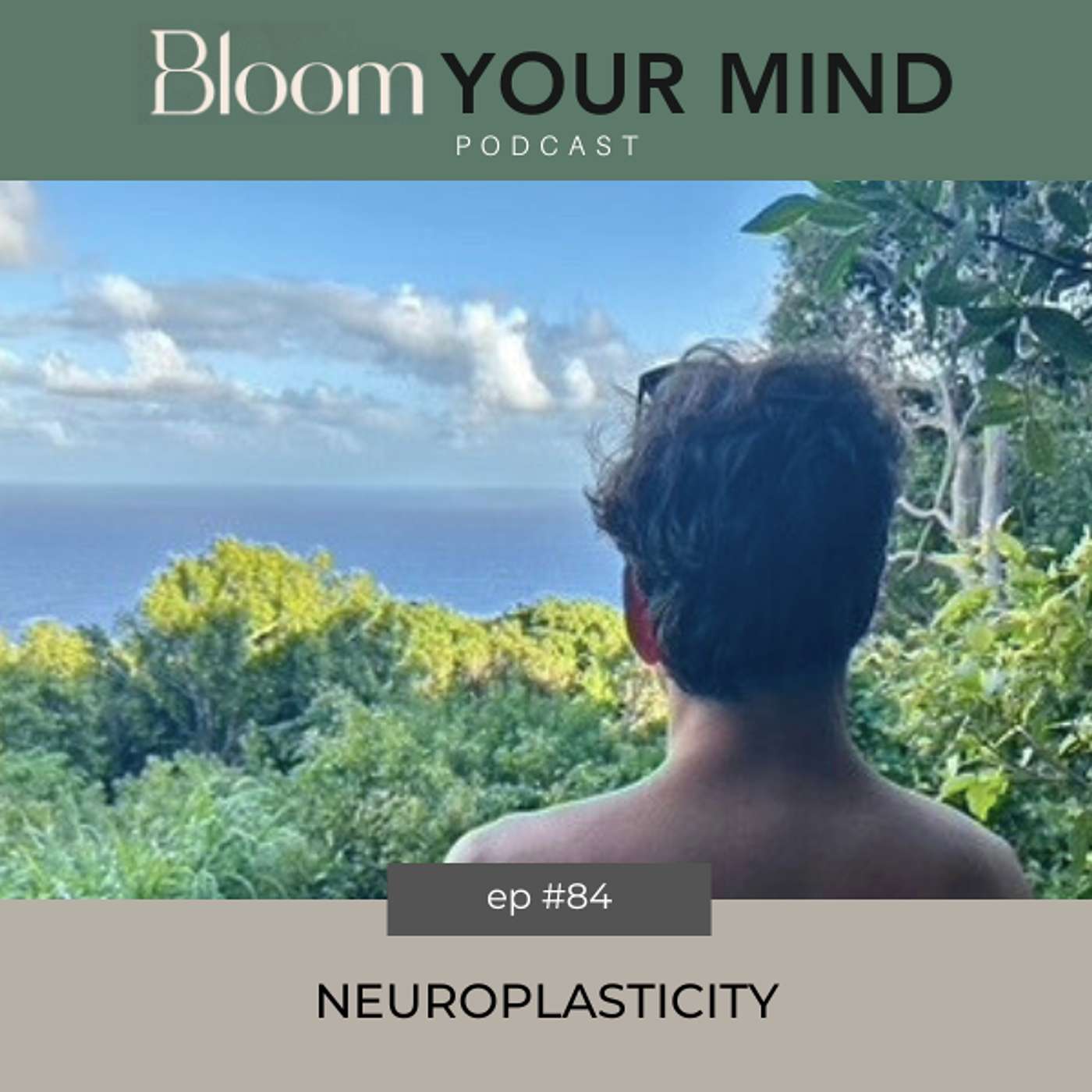 Ep 84: Neuroplasticity