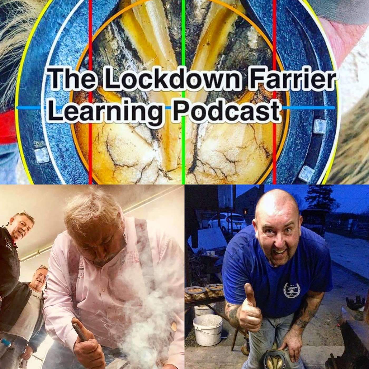 Episode 8 Laminitis Discussion with Dr Mark Caldwell PHD FWCF & Wayne Preece FWCF episode artwork