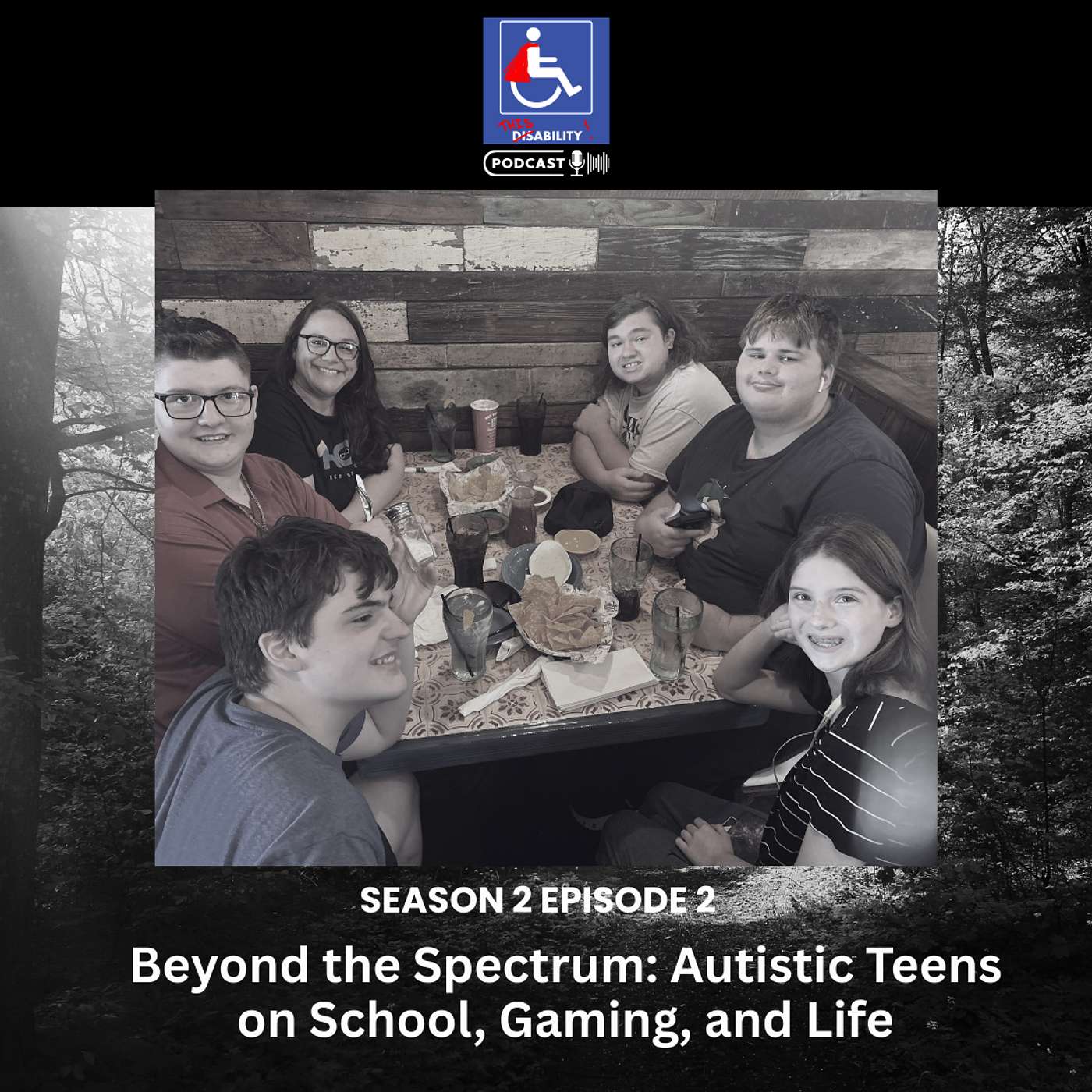 This Ability Podcast