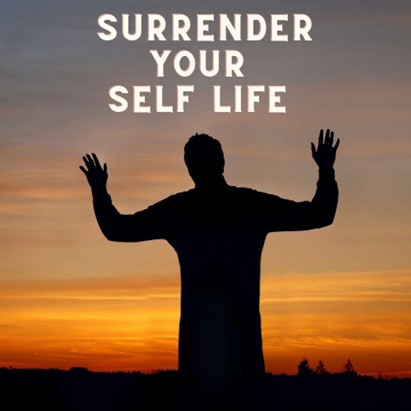 Surrender Your Self Life episode artwork
