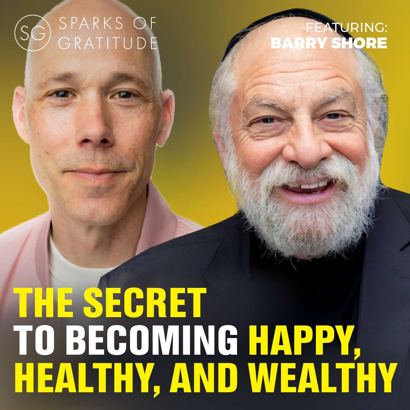 What being paralyzed taught me about joy and purpose - Barry Shore