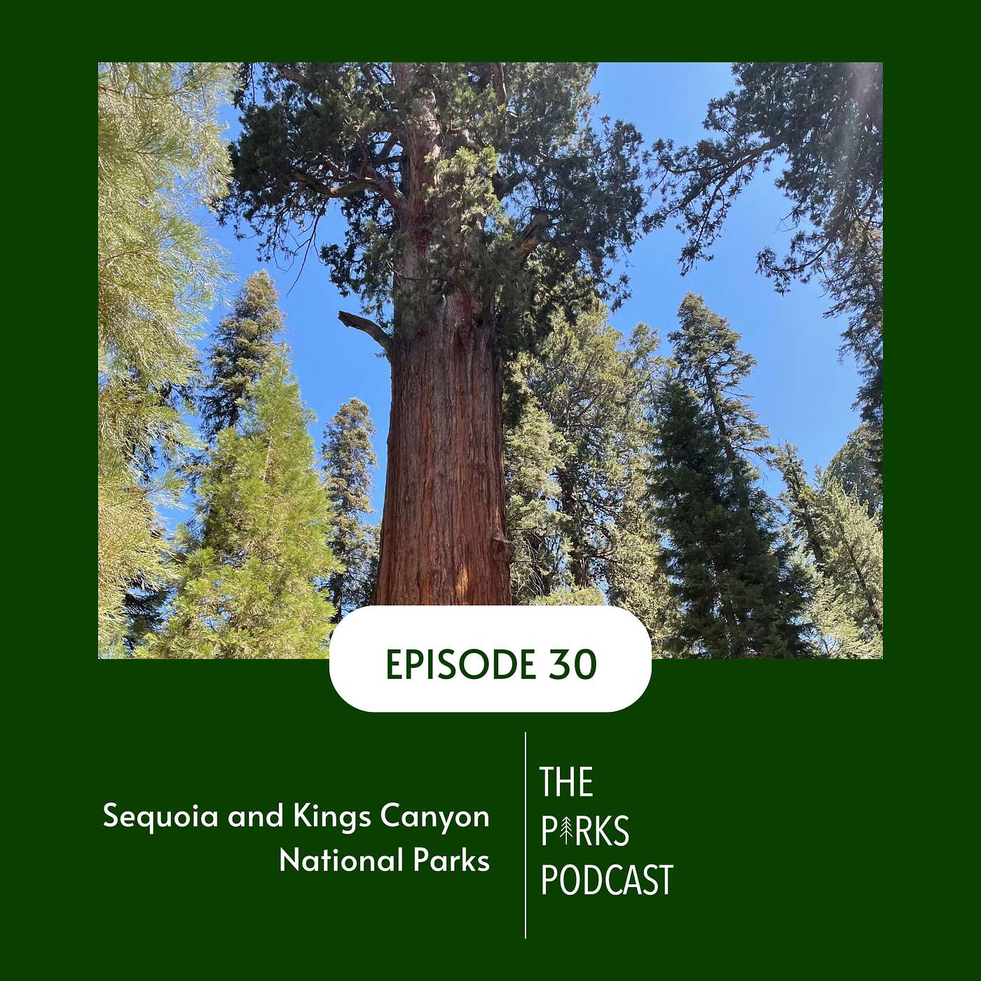 The Parks Podcast