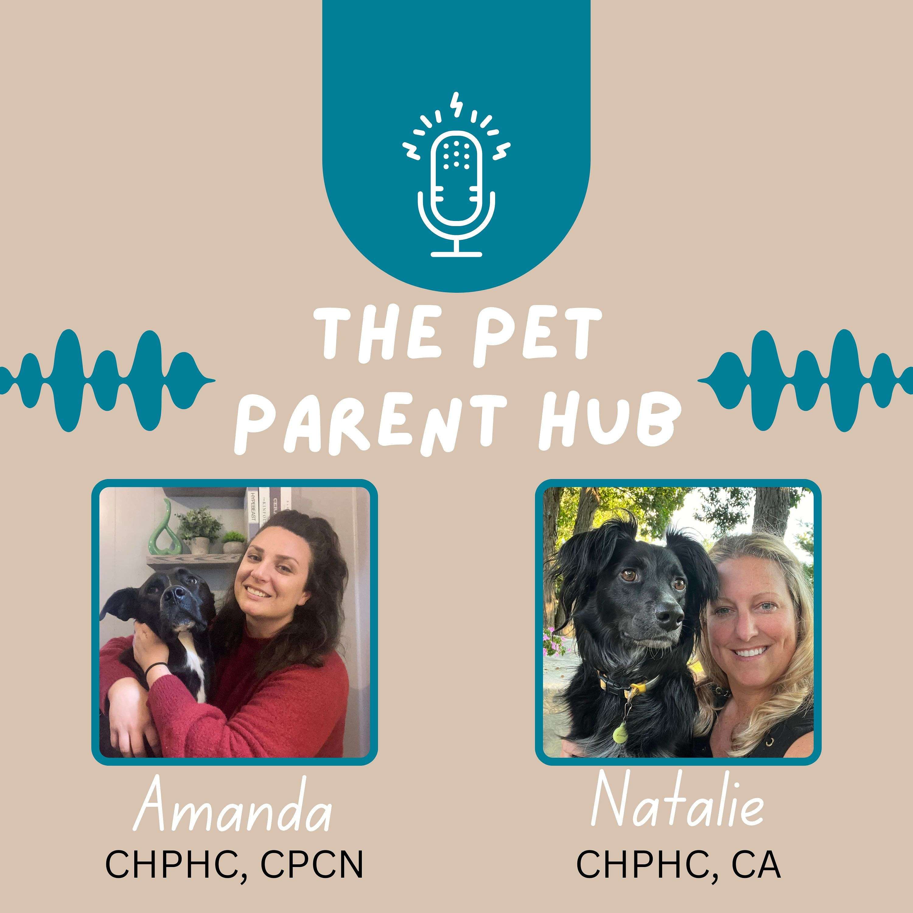 The Pet Parent Hub's Podcast