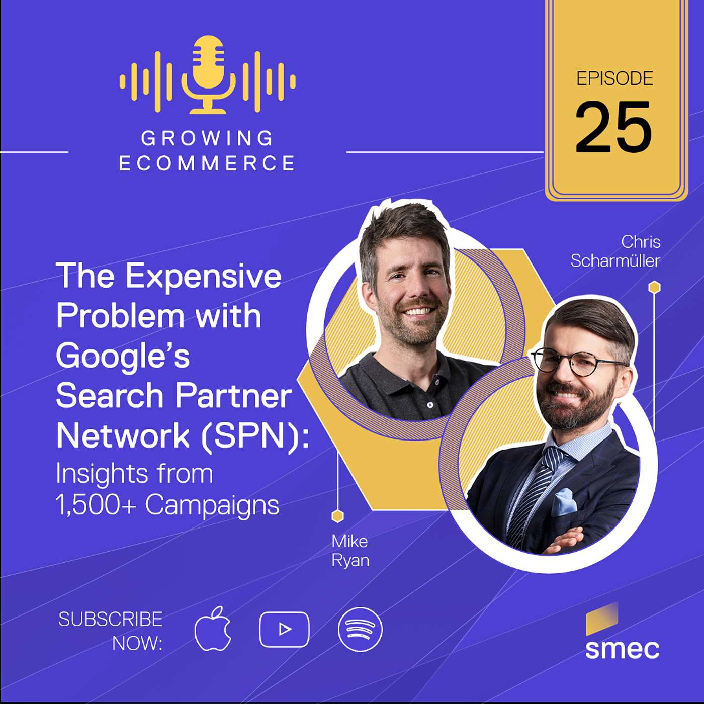 The Expensive Problem with Google’s Search Partner Network (SPN): Insights from 1,500+ Campaigns