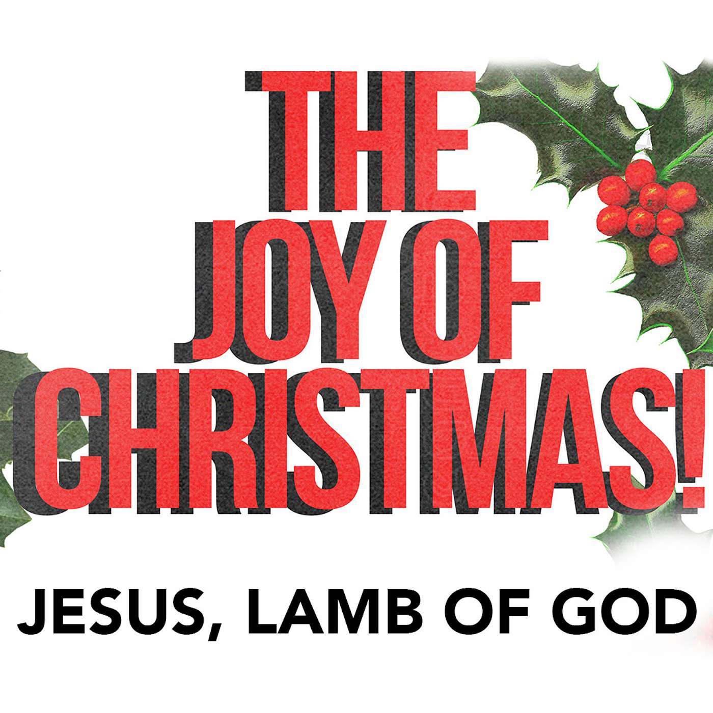 The Joy of Christmas - Jesus, Lamb of God