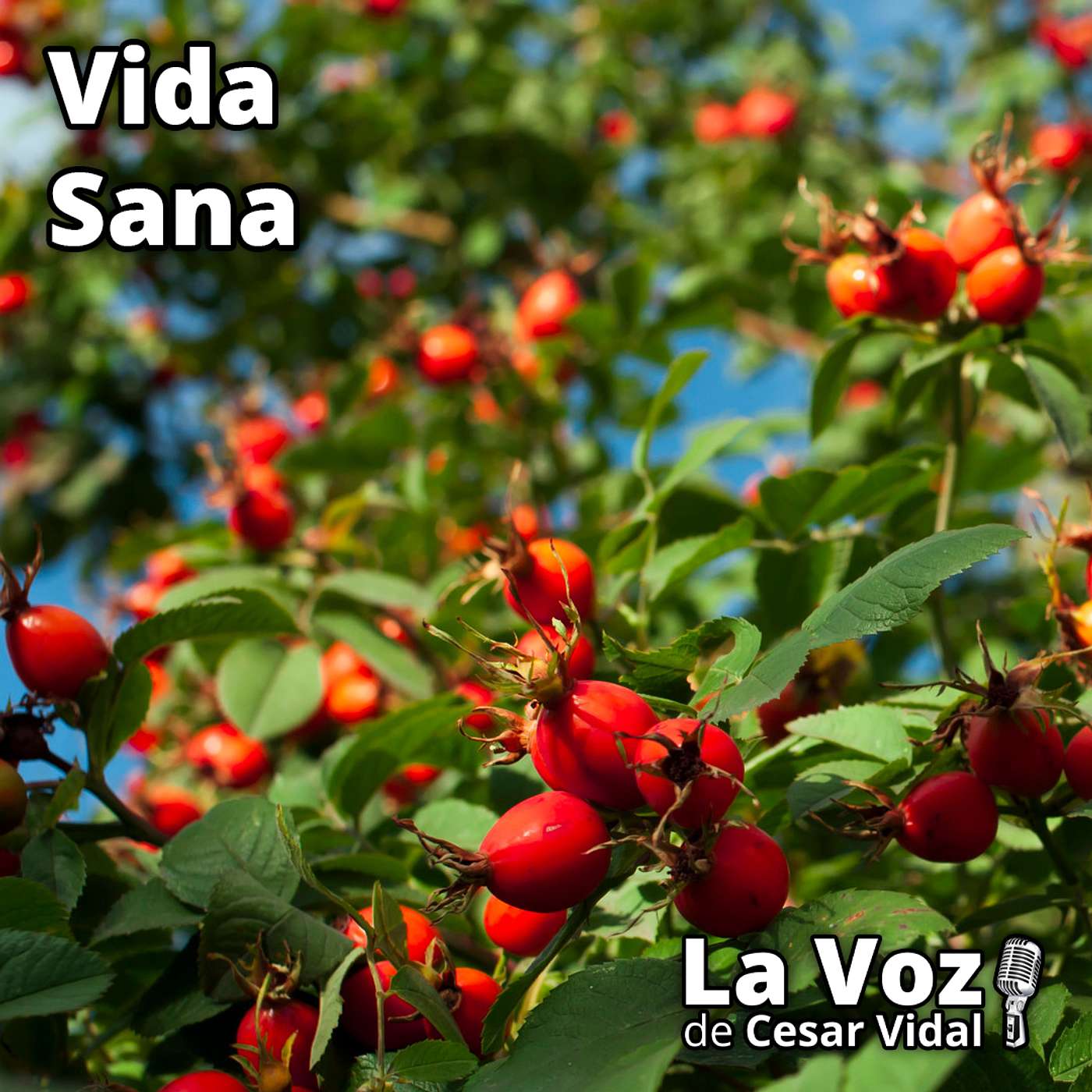 Vida Sana: Receta fácil y asequible para el dolor de las articulaciones - 22/10/25