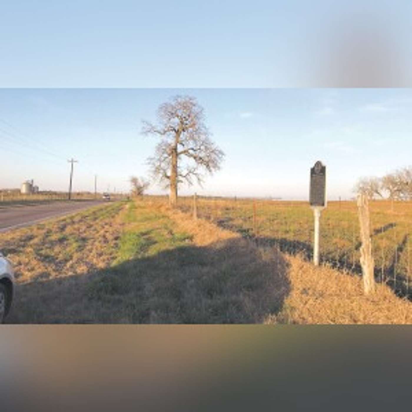Shiloh Cemetery -- a little history you might miss along F.M. 539 Shiloh Cemetery -- a little history you might miss along F.M. 539