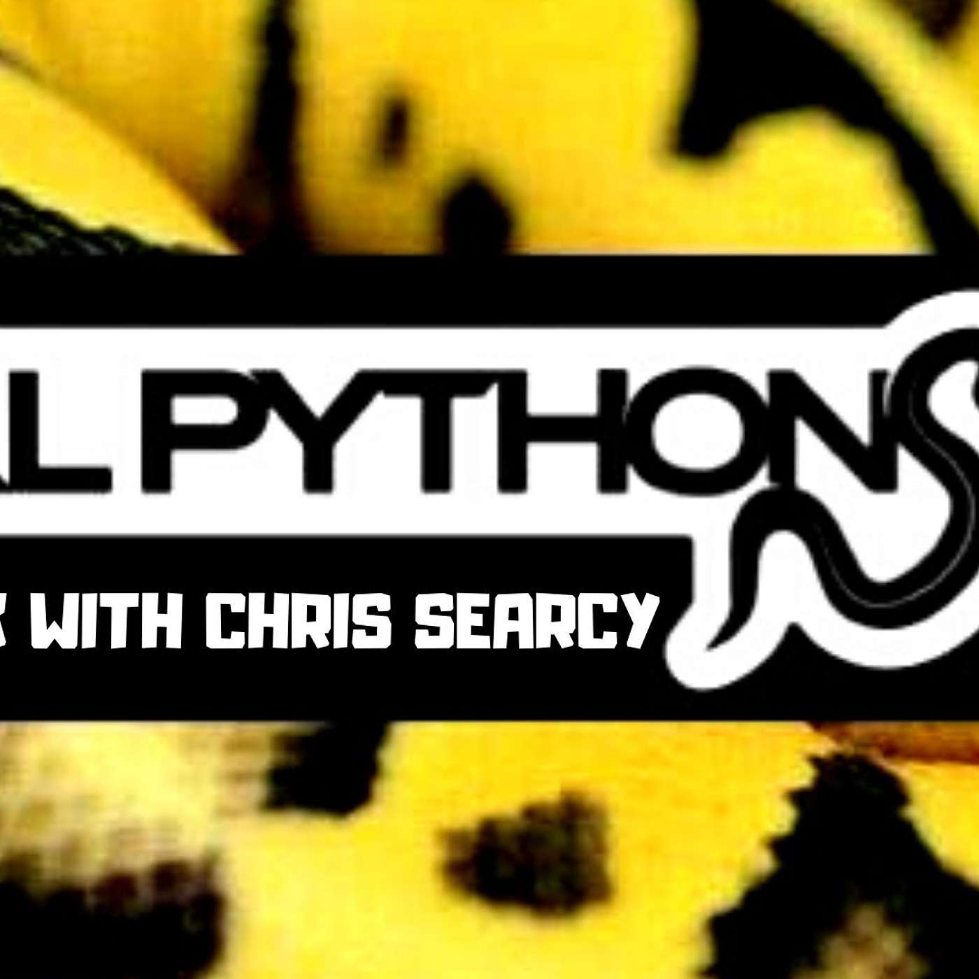 #2 CHRIS SEARCY OF BALL PYTHONS 101