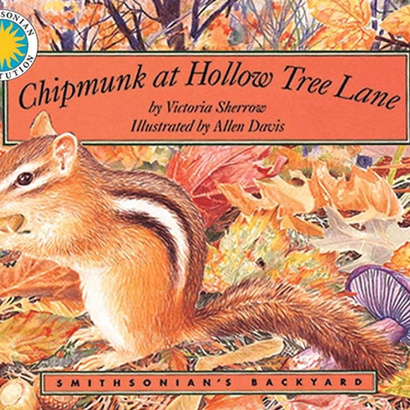 Chipmunk at Hollow Tree Lane by Victoria Sherrow