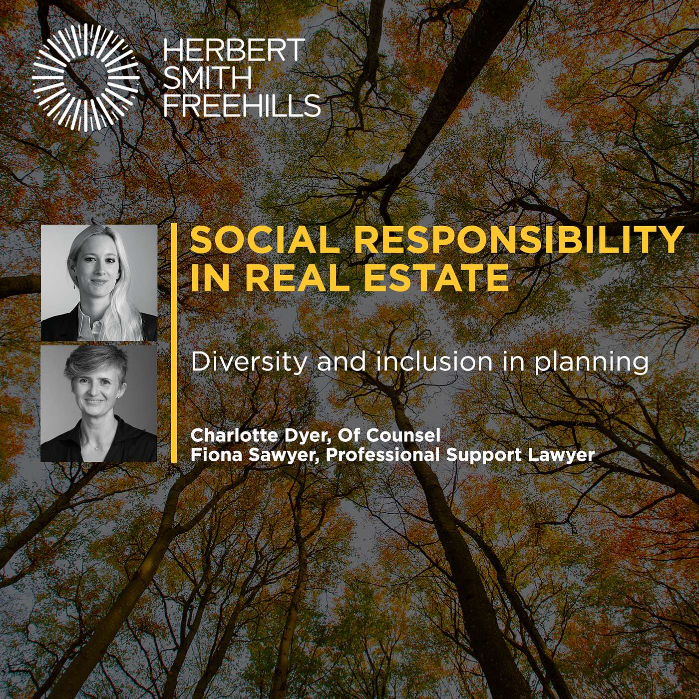 Social responsibility in real estate: diversity and inclusion in planning episode artwork