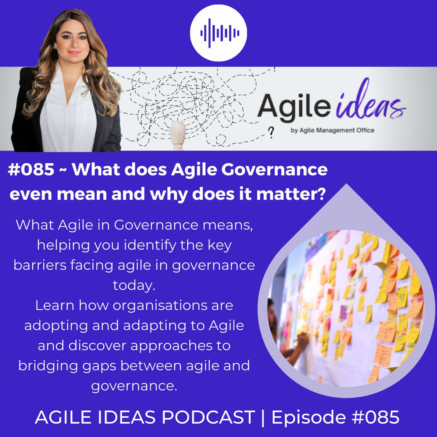 Agile Ideas