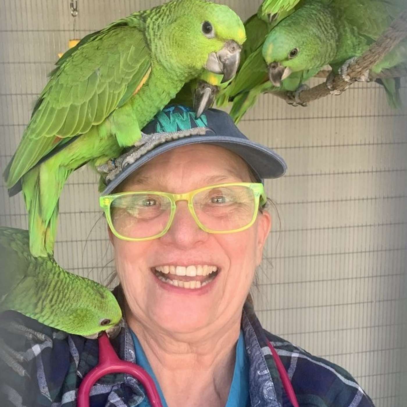 # 67 Pat and the parrots (USA) # 67 Pat and the parrots (USA)