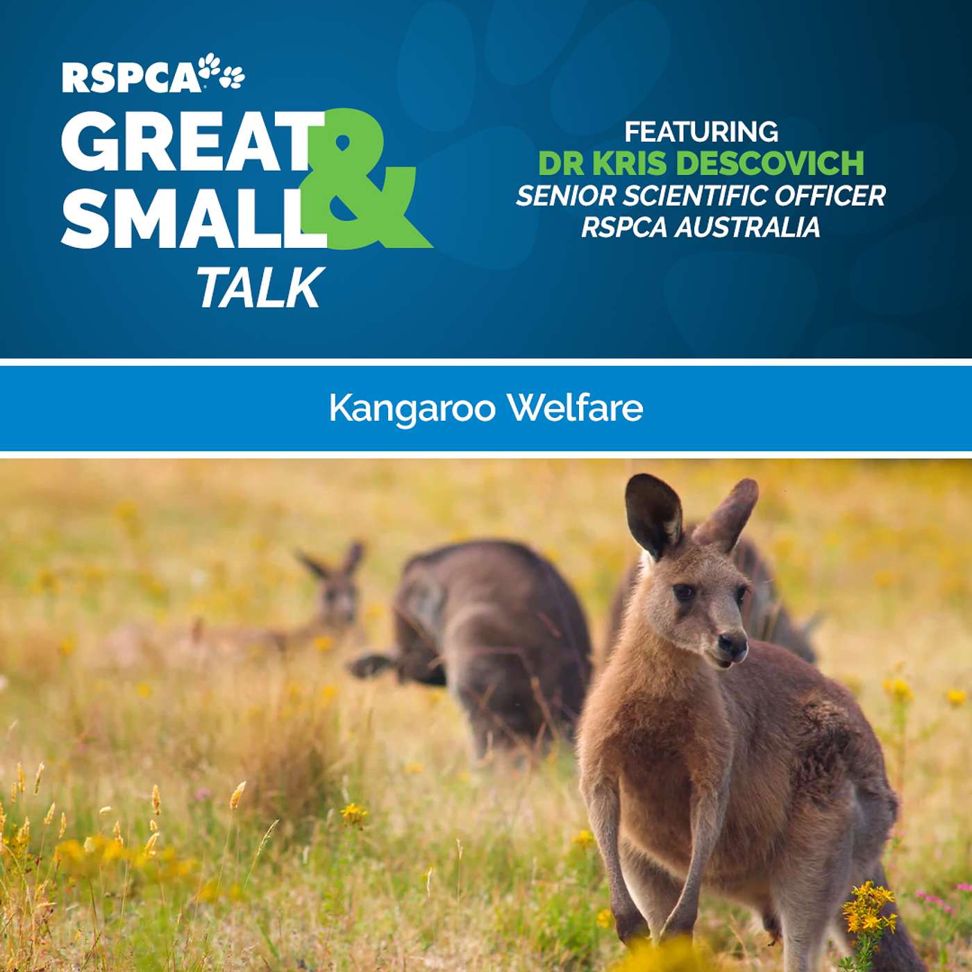 RSPCA Australia\'s Great & Small Talk