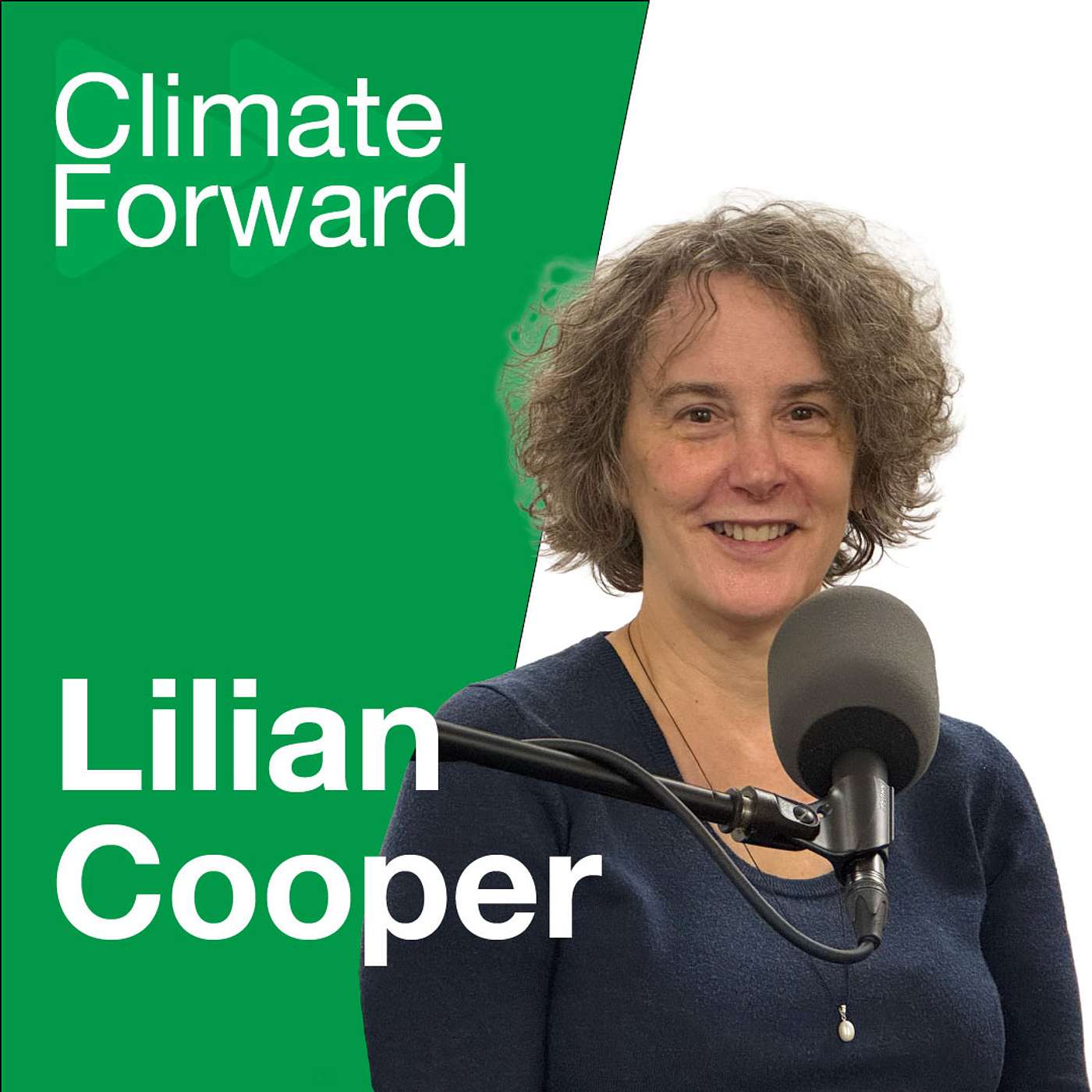 Art and Climate Change: Visualizing Rising Sea Levels and Urban Nature with Lilian Cooper