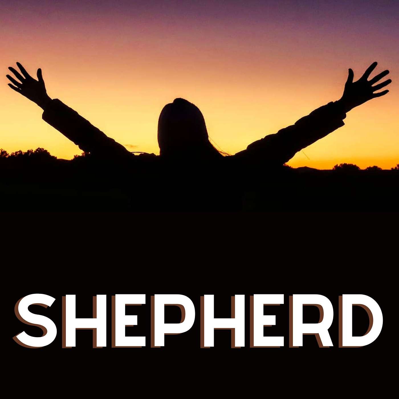 Shepherd episode artwork