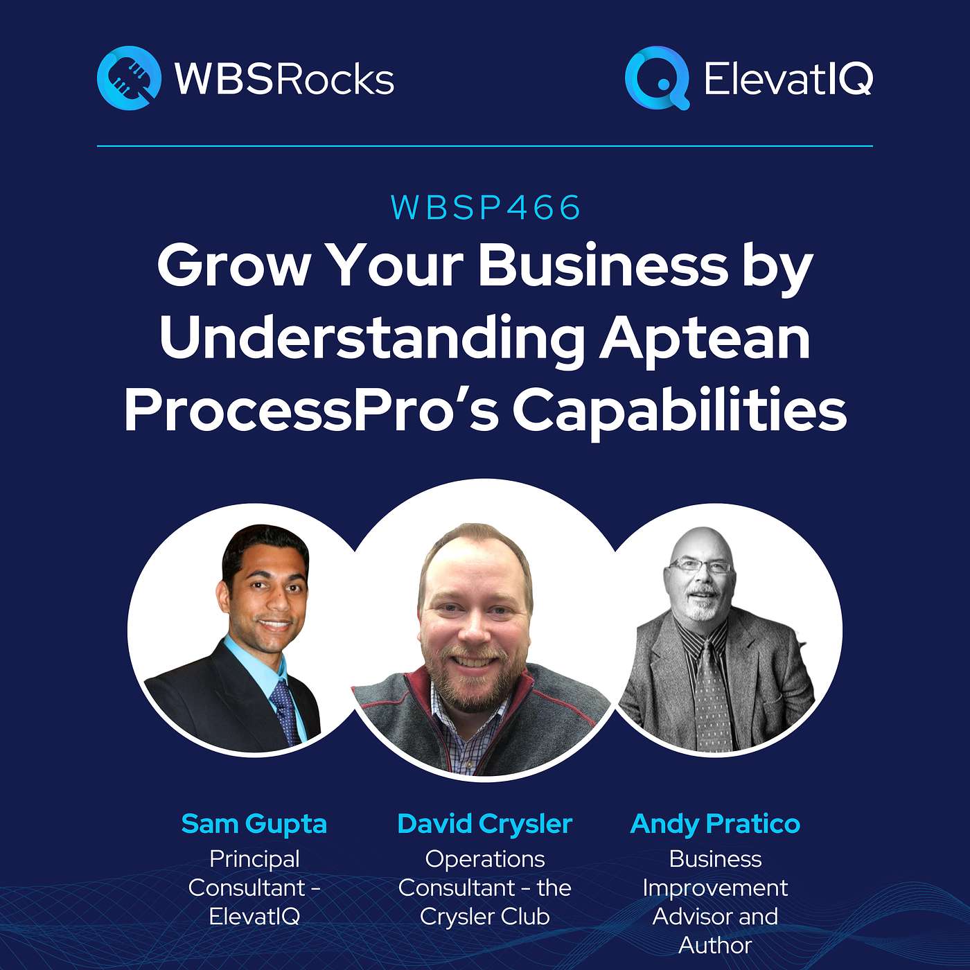 WBSP466: Grow Your Business by Understanding Aptean ProcessPro’s Capabilities, an Objective Panel Discussion