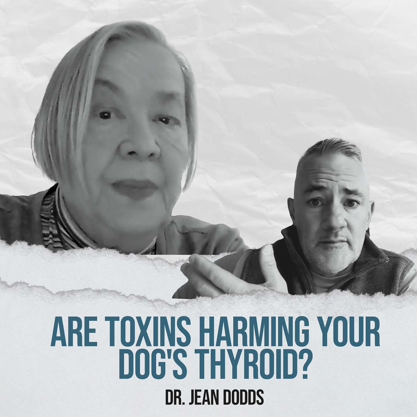 Are Toxins Affecting Your Pet's Thyroid Health? - with Dr. Jean Dodds