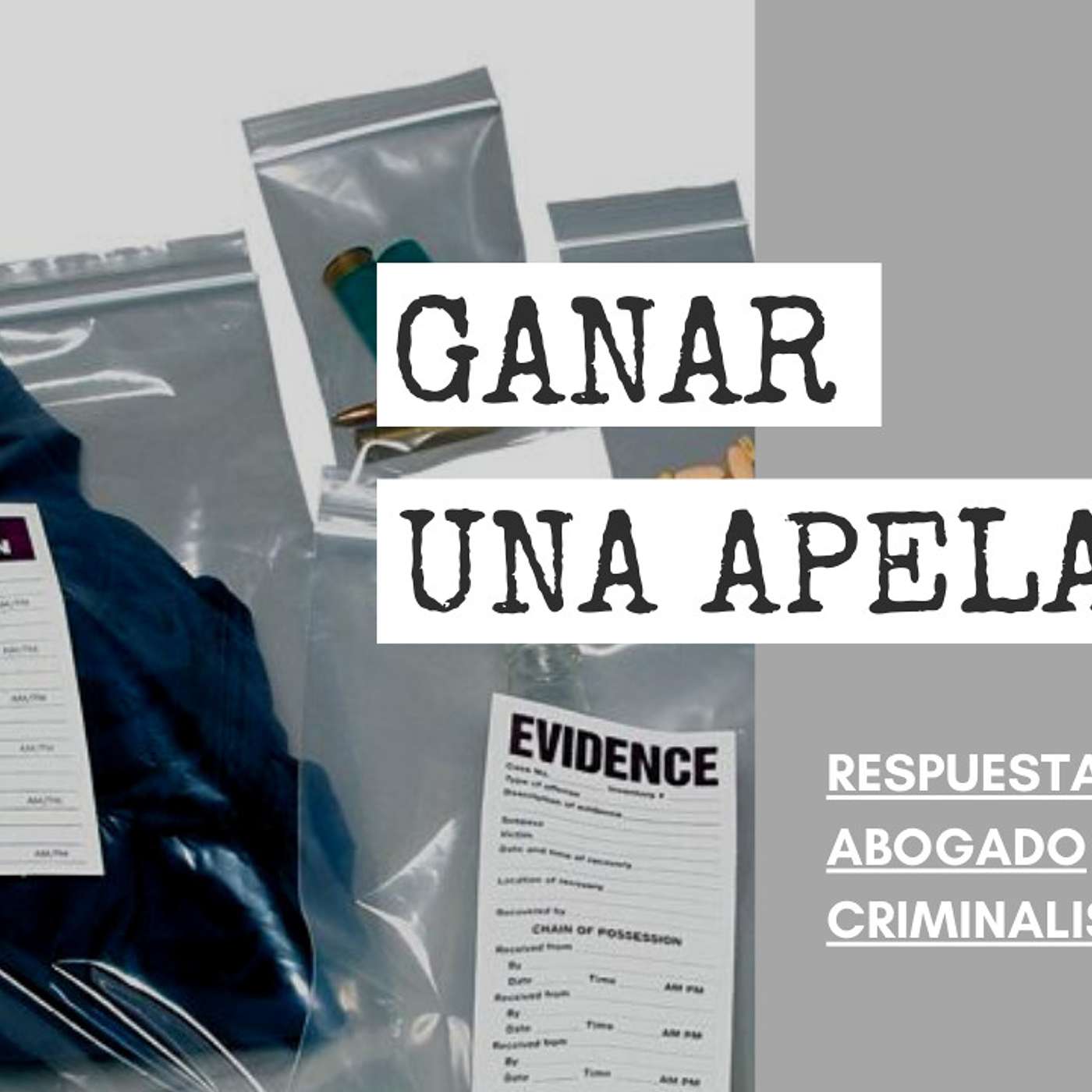 Abogado Criminalista Área de la Bahía