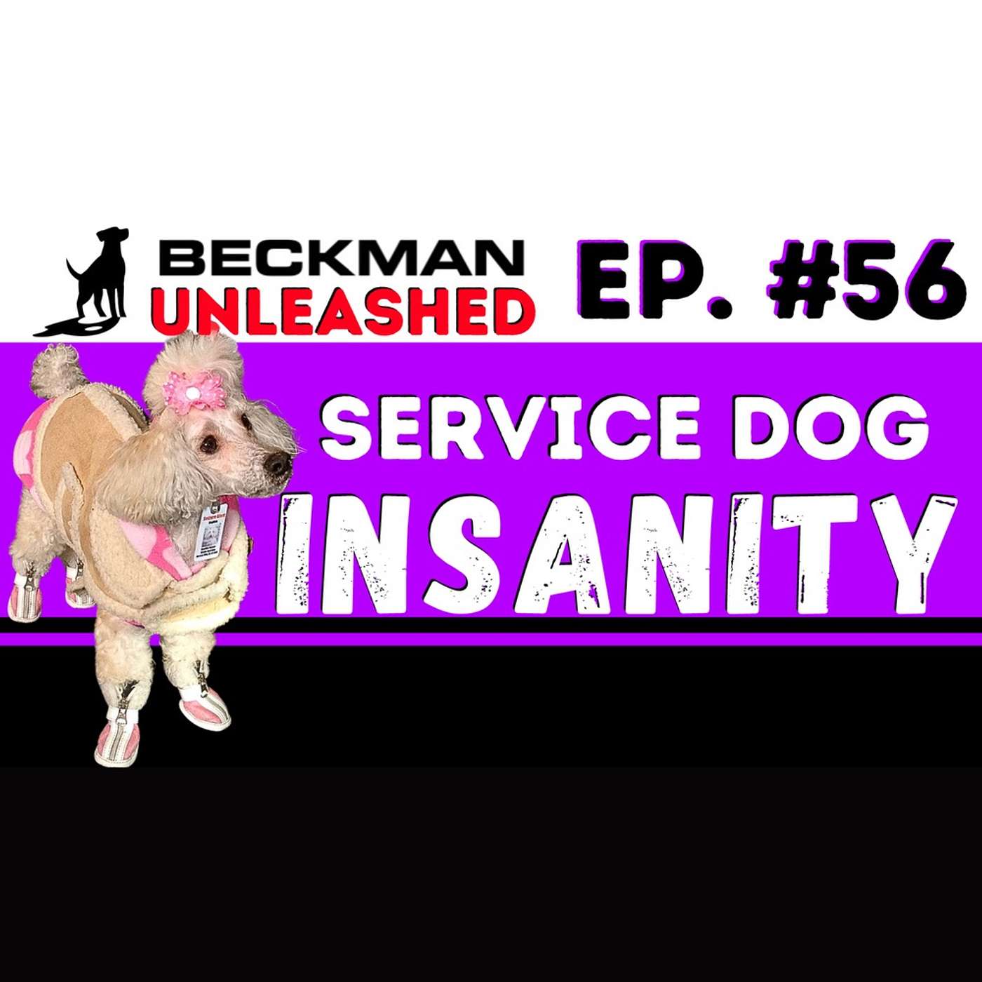 Service Dog's should be for the people who need them! Navigating the craziness of the current system