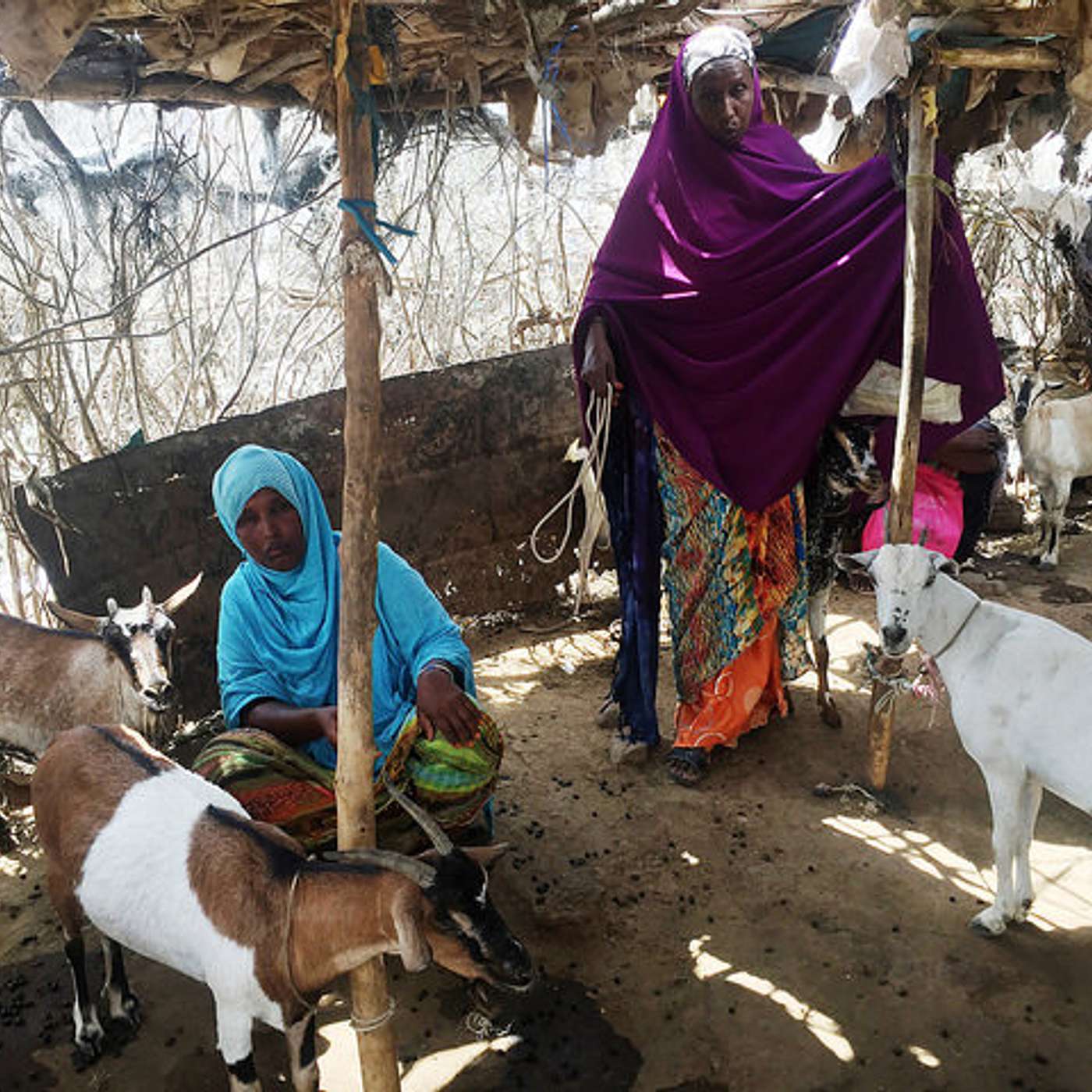 Ep. 15: A conversation with Dr. Lahra Smith on refugees and migrants in the Horn of Africa
