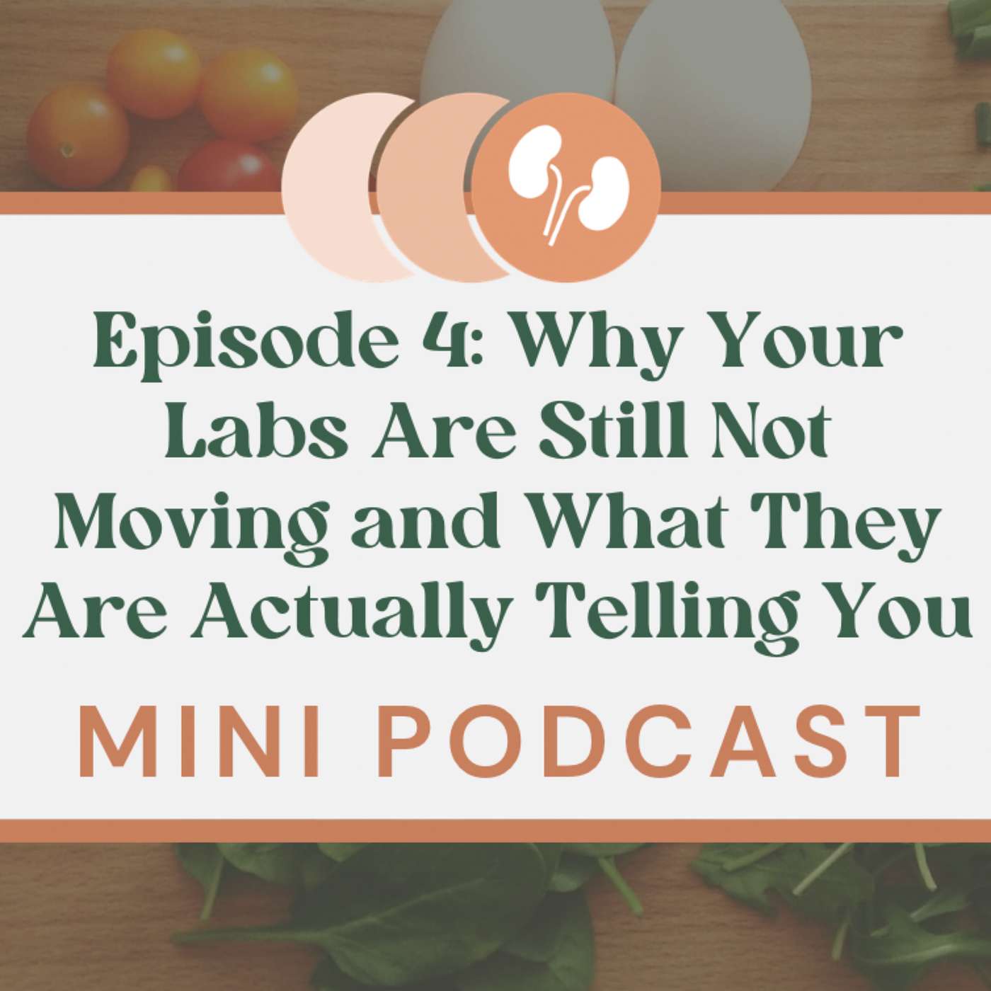 Why Your Labs Are Still Not Moving and What They Are Actually Telling You episode artwork