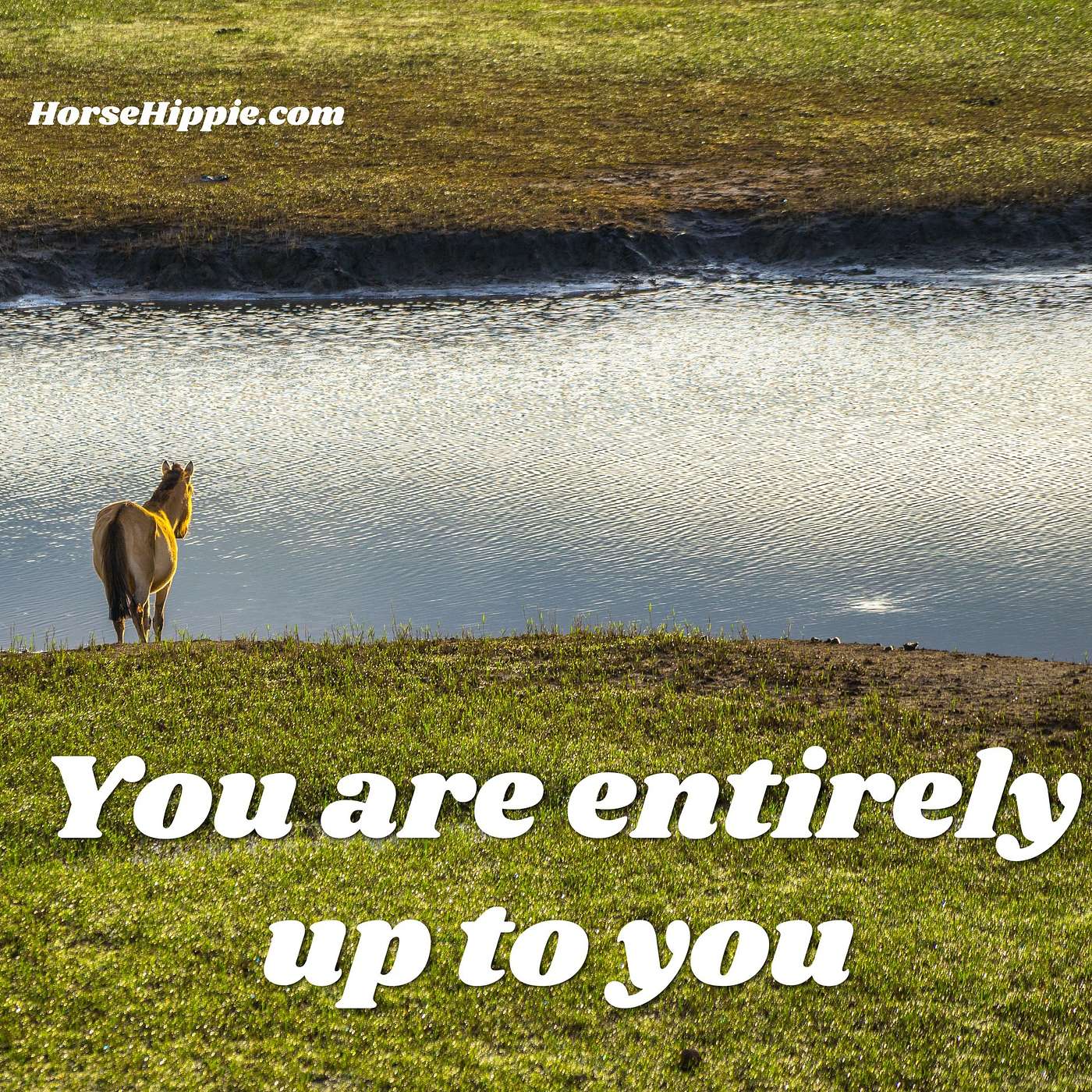 You Are Entirely Up To You