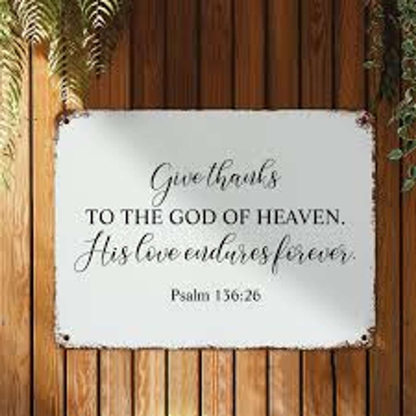 Breathe Scripture Meditations: O Give Thanks to The Lord  - Psalm 136