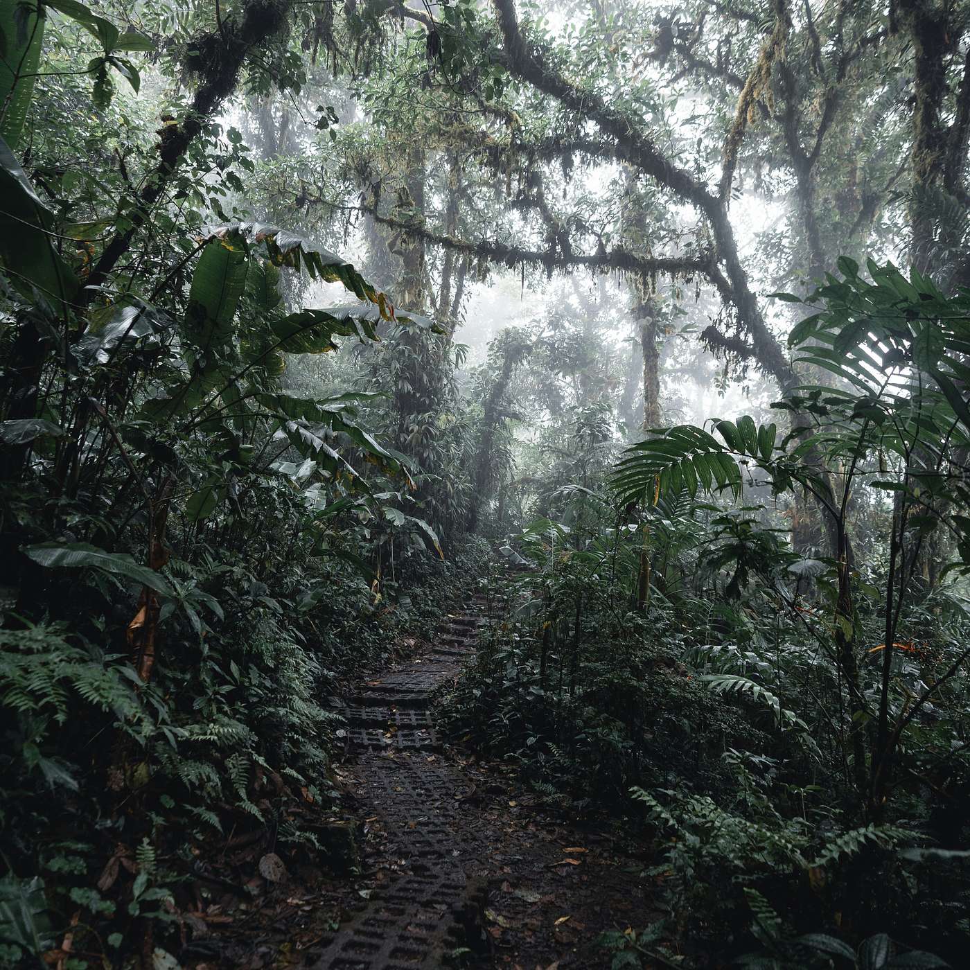 Wild Costa Rica